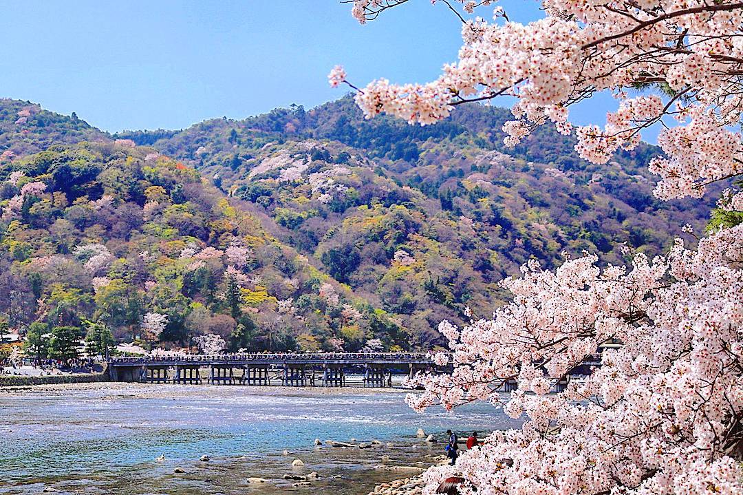 渡月橋 嵐山 保津川