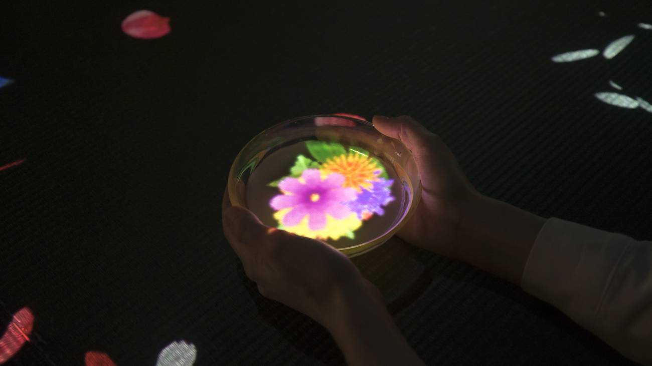 日本 teamLab Borderless