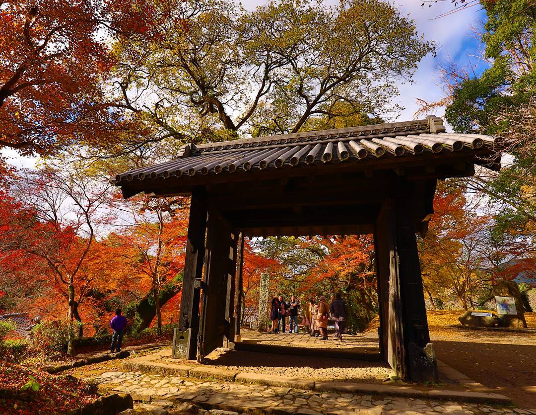 秋月城跡の紅葉 秋月城跡紅葉 秋月城跡紅葉2019 秋月城跡紅葉 2019 秋月城跡 紅葉 2019 福岡 紅葉 景點 2019 福岡紅葉景點 2019 福岡 紅葉景點 2019 福岡紅葉 2019 福岡紅葉2019 福岡 紅葉 福岡紅葉 2019 福岡紅葉2019 福岡賞楓 2019 福岡賞楓2019 福岡賞楓景點 2019 福岡賞楓景點2019 福岡夜楓 2019 福岡夜楓2019 福岡夜楓景點2019 福岡夜楓景點 2019 九州紅葉 2019 九州紅葉2019 九州紅葉 景點 2019 九州紅葉景點 2019 九州紅葉景點2019 九州賞楓 2019 九州賞楓2019 九州賞楓景點 2019 九州賞楓景點2019 九州賞楓 景點 2019 九州夜楓2019 九州夜楓 2019 九州夜楓景點2019 九州夜楓景點 2019 九州夜楓 景點 2019 九州楓葉2019 九州楓葉 2019 九州楓葉景點2019 九州楓葉景點 2019 九州 紅葉祭 2019 九州景點 九州必去 九州必看 九州自由行 九州行程 九州自由行行程推薦 九州自由行行程推介 九州自由行行程