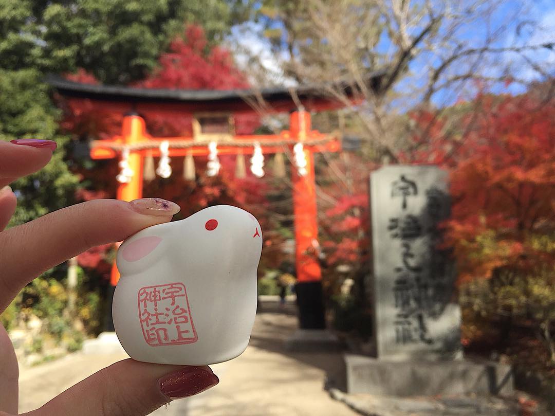 [京都半日遊] 抺茶控必去！抺茶之鄉 - 宇治！宇治神社&宇治上神社