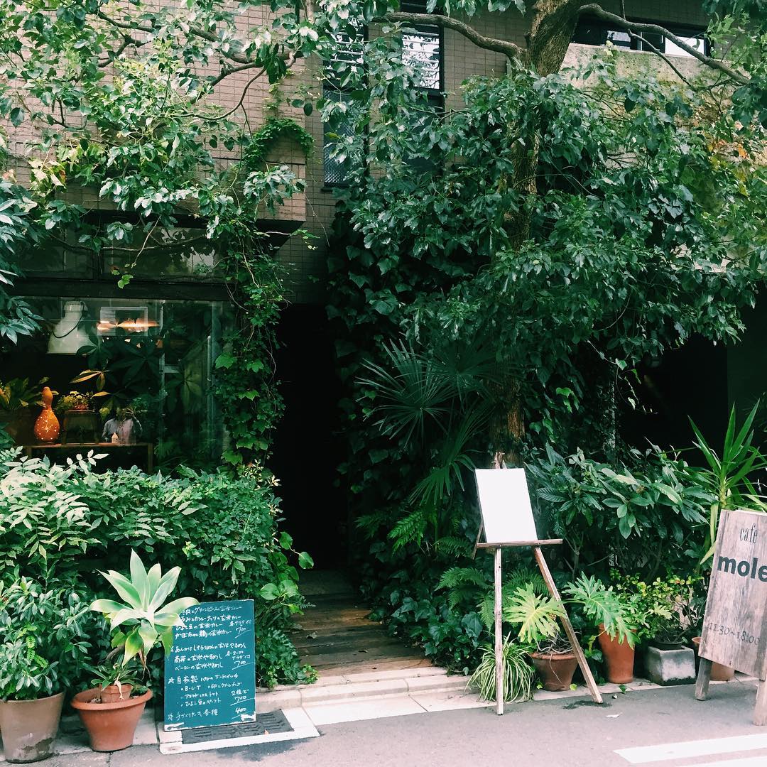 文青必到！京都三大特色咖啡店！Cafe Mole