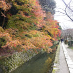 若王子 銀閣寺 銀閣寺道站 哲學之道紅葉 哲學之道 紅葉 哲学の道紅葉 哲学の道 紅葉 京都紅葉2019 京都楓葉2019 京都紅葉景點2019 京都紅葉 景點2019 京都賞楓2019 京都賞楓 景點2019 京都賞楓景點2019 京都夜楓2019 京都夜楓景點2019 京都紅葉 京都楓葉 京都紅葉景點 京都紅葉 景點 京都賞楓 京都賞楓 景點 京都賞楓景點 京都夜楓 京都夜楓景點
