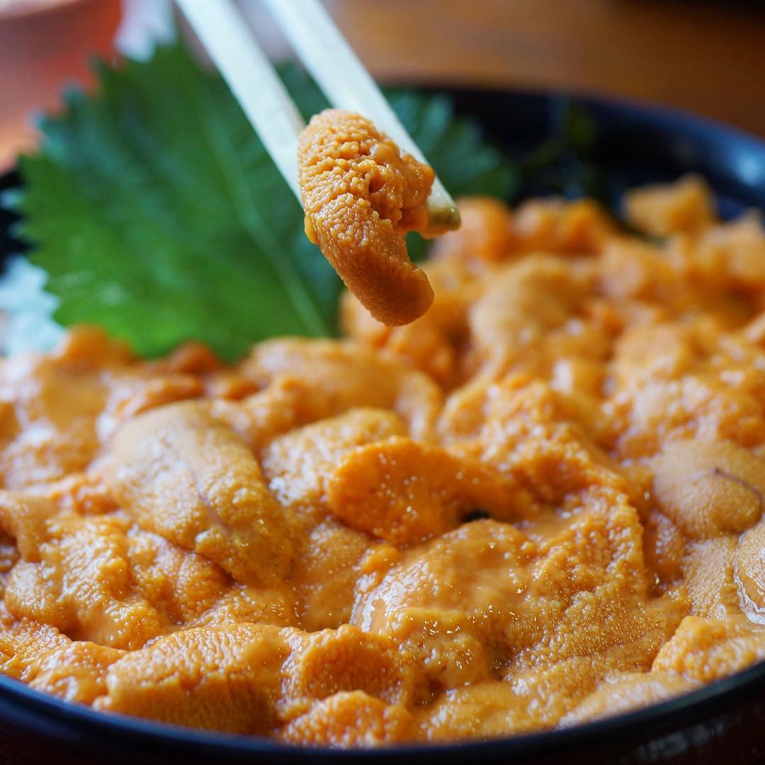 北海道必食！海膽丼十選(前篇)中村屋