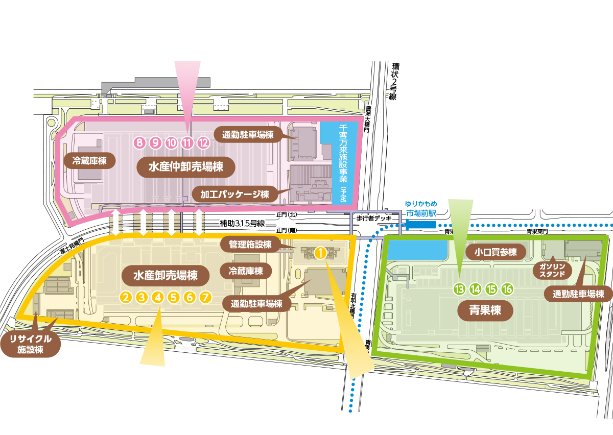 築地市場搬遷 東京豐洲市場