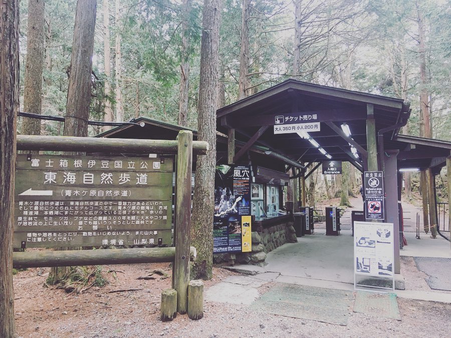 富士山 自殺森林 青木原樹海 
青木原樹海遊記 青木原樹海步道 青木原樹海入口
西湖・青木ヶ原周遊巴士
東海自然步道