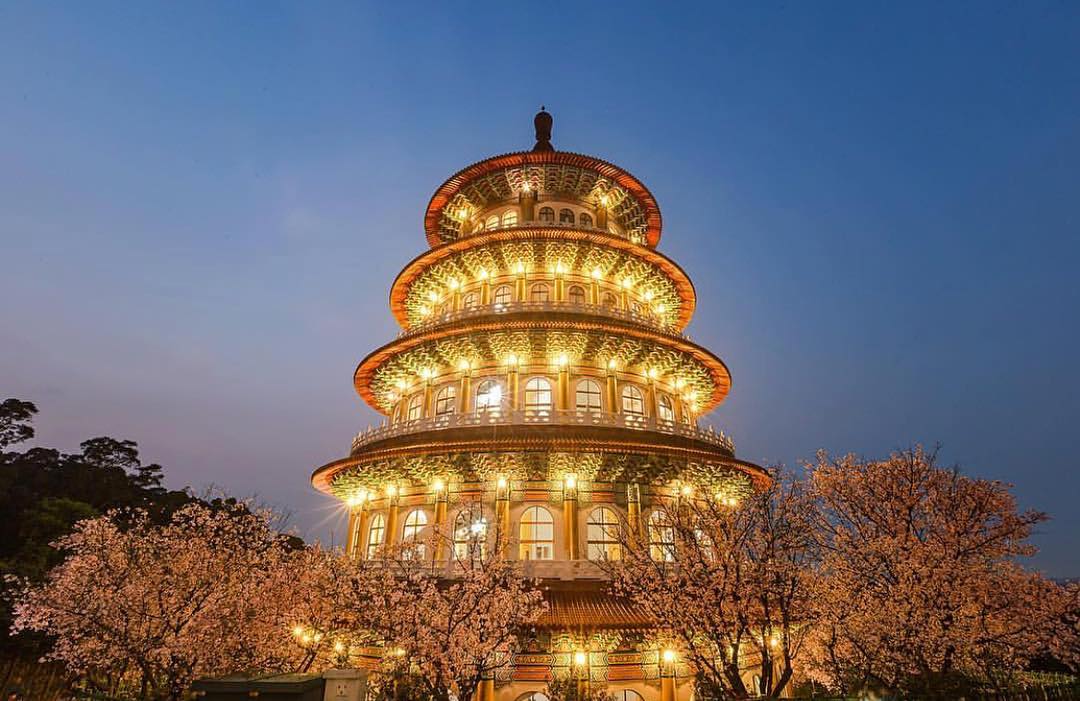 櫻花2019