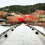 勝尾寺 秋之夜晚 勝尾寺紅葉 勝尾寺 紅葉 勝尾寺夜楓 大阪 夜間紅葉 大阪賞楓景點 大阪賞楓 景點 大阪紅葉景點 大阪紅葉 景點 大阪賞楓 大阪楓葉 大阪紅葉預測 大阪夜楓 大阪夜楓2019 大阪紅葉2019 大阪賞楓2019 大阪楓葉2019 大阪紅葉預測2019