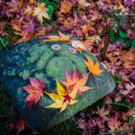 真紅之水鏡 真紅の水鏡 祇王寺紅葉 祇王寺 紅葉 嵐山紅葉 景點 嵐山紅葉景點 紅葉 嵐山 紅葉 景點 嵐山賞楓景點 嵐山賞楓 景點 嵐山夜楓 景點 嵐山夜楓景點 嵐山楓葉景點 嵐山楓葉 景點 嵐山紅葉 紅葉 嵐山 紅葉 嵐山賞楓 嵐山夜楓 嵐山楓葉 京都紅葉2019 京都楓葉2019 京都紅葉景點2019 京都紅葉 景點2019 京都賞楓2019 京都賞楓 景點2019 京都賞楓景點2019 京都夜楓2019 京都夜楓景點2019 京都紅葉 京都楓葉 京都紅葉景點 京都紅葉 景點 京都賞楓 京都賞楓 景點 京都賞楓景點 京都夜楓 京都夜楓景點