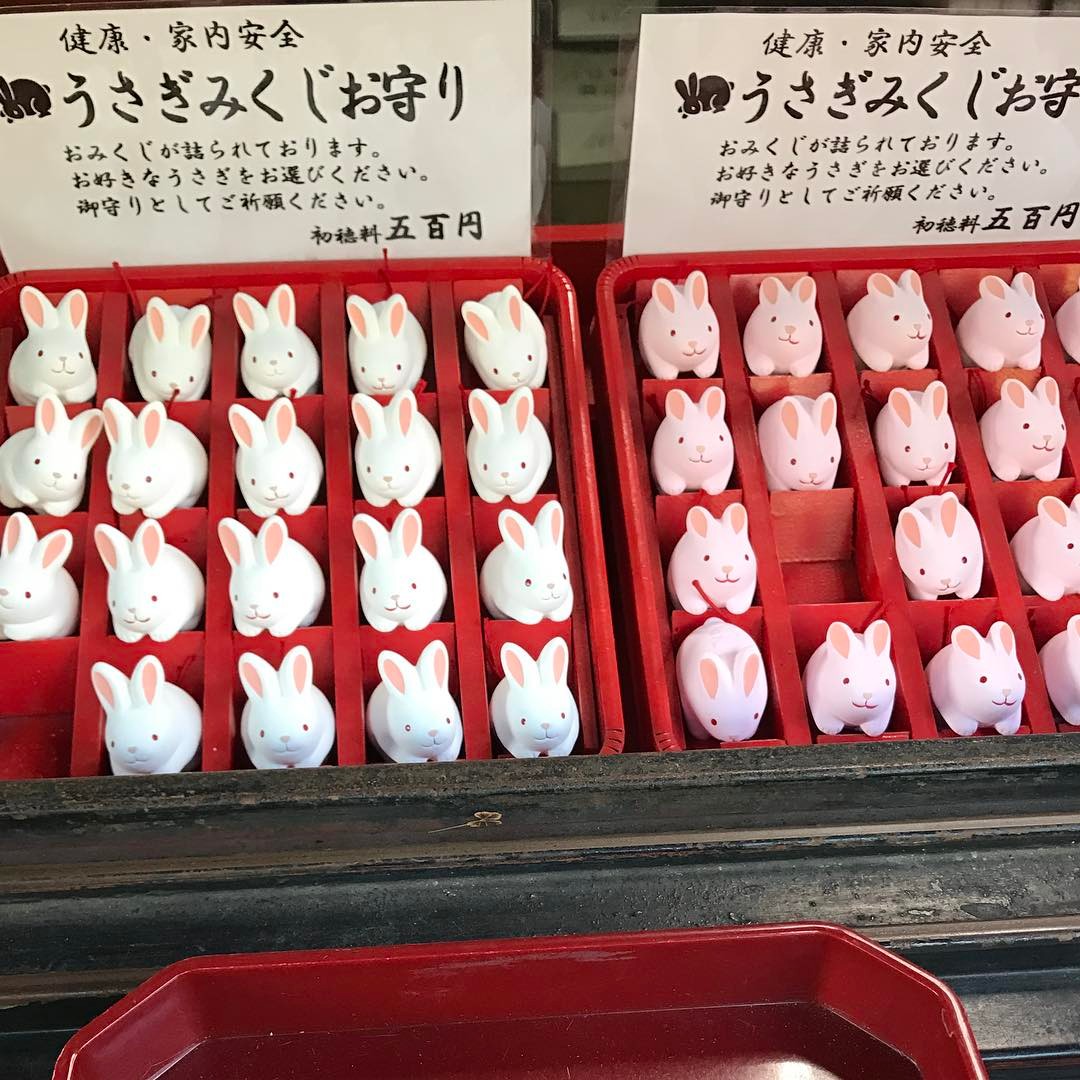 兔迷朝聖必去！兔子守護神@ 京都 岡崎神社