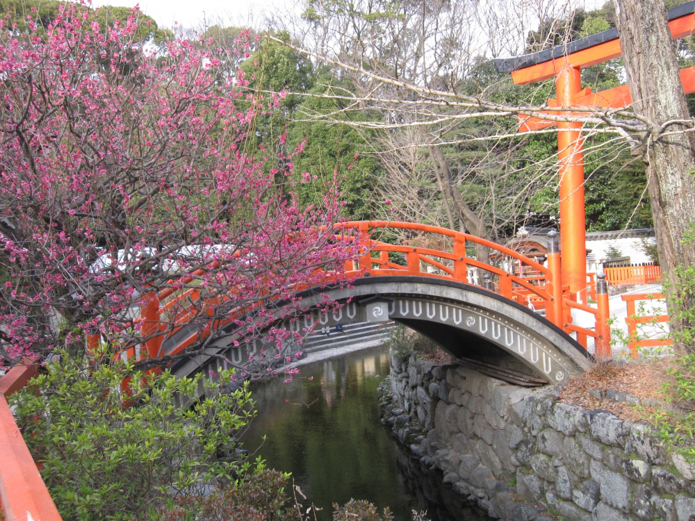 2019 京都10大賞梅名所 下鴨神社