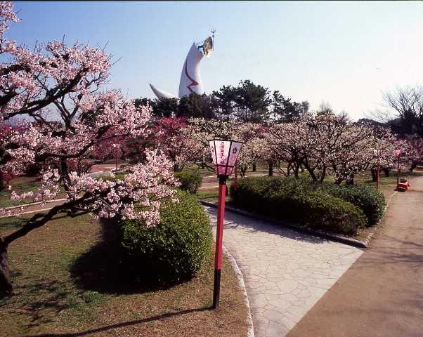 umematuri