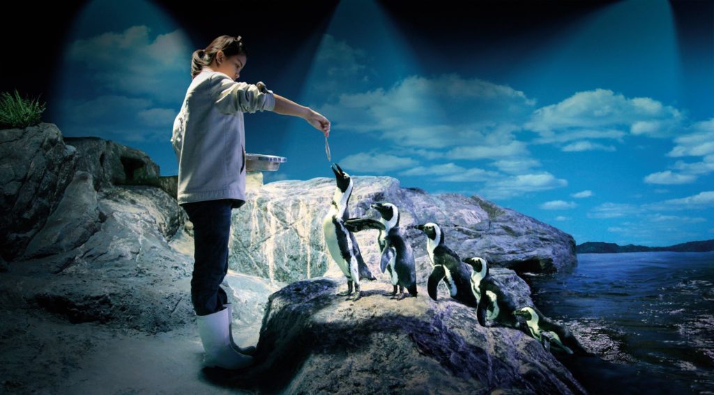 曼谷水族館 曼谷暹羅海洋世界可以搭玻璃船親近超過400種海洋生物（又稱海洋世界水族館）曼谷景點 曼谷親子景點