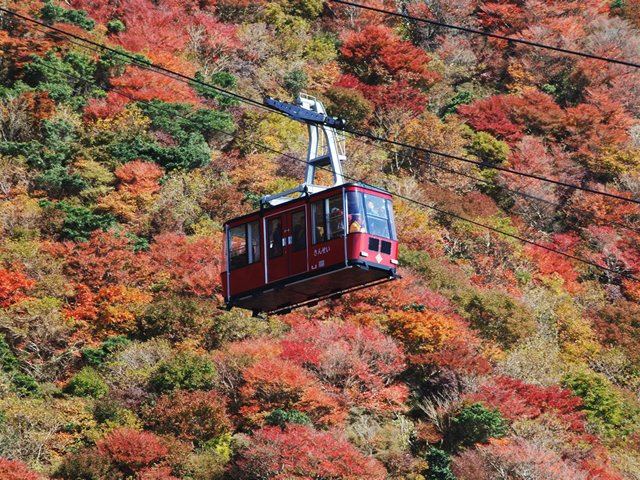 仁田峠の紅葉 仁田峠紅葉 雲仙岳 紅葉 妙見山 紅葉 普賢山 紅葉 雲仙空中纜車 仁田山巔的空中索道 長崎 紅葉 景點 2019 長崎紅葉景點 2019 長崎 紅葉景點 2019 長崎紅葉 2019 長崎紅葉2019 長崎 紅葉 長崎紅葉 2019 長崎紅葉2019 長崎賞楓 2019 長崎賞楓2019 長崎賞楓景點 2019 長崎賞楓景點2019 長崎夜楓 2019 長崎夜楓2019 長崎夜楓景點2019 長崎夜楓景點 2019 九州紅葉 2019 九州紅葉2019 九州紅葉 景點 2019 九州紅葉景點 2019 九州紅葉景點2019 九州賞楓 2019 九州賞楓2019 九州賞楓景點 2019 九州賞楓景點2019 九州賞楓 景點 2019 九州夜楓2019 九州夜楓 2019 九州夜楓景點2019 九州夜楓景點 2019 九州夜楓 景點 2019 九州楓葉2019 九州楓葉 2019 九州楓葉景點2019 九州楓葉景點 2019 九州 紅葉祭 2019 九州景點 九州必去 九州必看 九州自由行 九州行程 九州自由行行程推薦 九州自由行行程推介 九州自由行行程