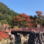 勝尾寺 秋之夜晚 勝尾寺紅葉 勝尾寺 紅葉 勝尾寺夜楓 大阪 夜間紅葉 大阪賞楓景點 大阪賞楓 景點 大阪紅葉景點 大阪紅葉 景點 大阪賞楓 大阪楓葉 大阪紅葉預測 大阪夜楓 大阪夜楓2019 大阪紅葉2019 大阪賞楓2019 大阪楓葉2019 大阪紅葉預測2019