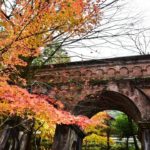 南禪寺‧永觀堂道站 蹴上站 南禪寺 南禪寺紅葉 日本庭園 紅葉 南禪寺 紅葉 京都紅葉2019 京都楓葉2019 京都紅葉景點2019 京都紅葉 景點2019 京都賞楓2019 京都賞楓 景點2019 京都賞楓景點2019 京都夜楓2019 京都夜楓景點2019 京都紅葉 京都楓葉 京都紅葉景點 京都紅葉 景點 京都賞楓 京都賞楓 景點 京都賞楓景點 京都夜楓 京都夜楓景點