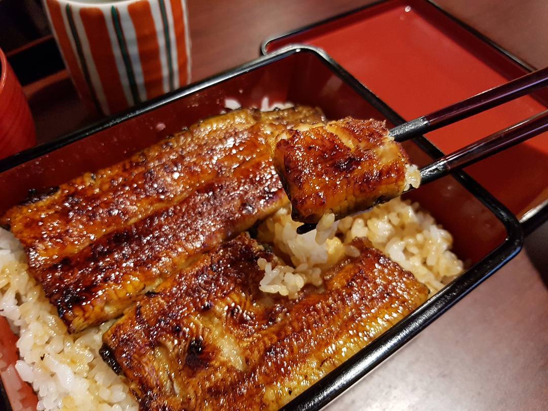 小川菊鰻魚飯