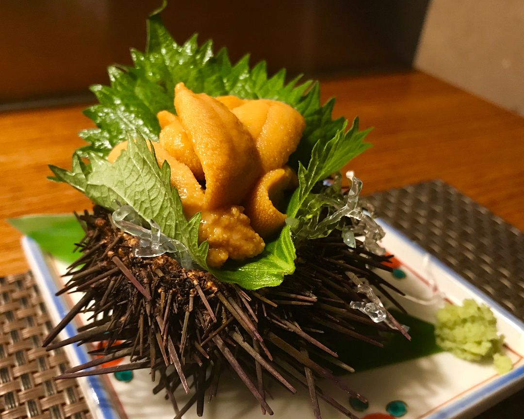 東京必食！新宿美食地圖 (海鮮篇)海栗屋