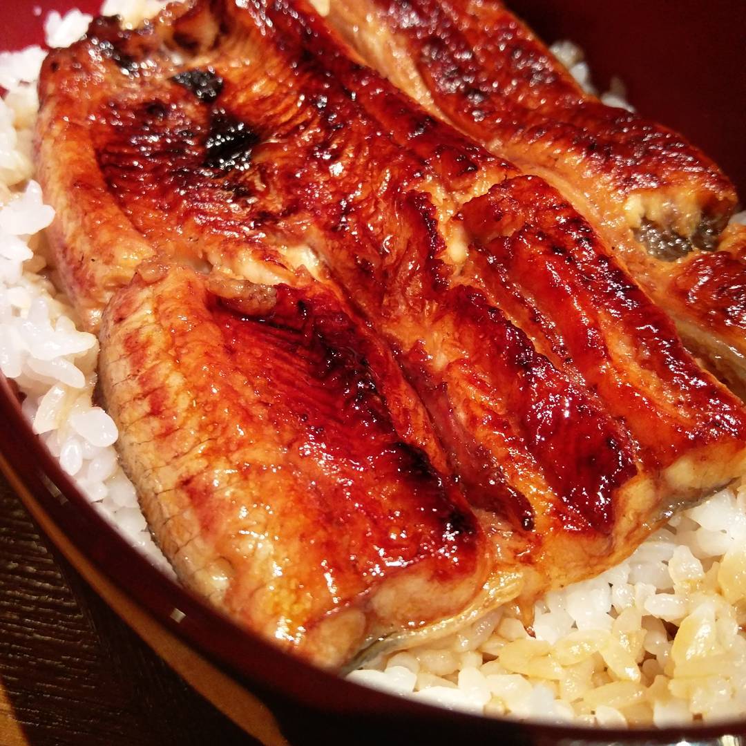 炭火直燒！油脂滿滿！京都必食鰻魚飯四選 うなぎ屋 廣川