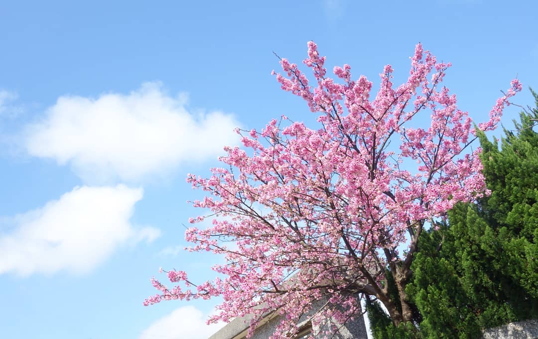 平菁街42巷