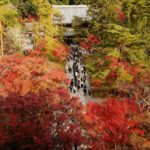 南禪寺‧永觀堂道站 蹴上站 南禪寺 南禪寺紅葉 日本庭園 紅葉 南禪寺 紅葉 京都紅葉2019 京都楓葉2019 京都紅葉景點2019 京都紅葉 景點2019 京都賞楓2019 京都賞楓 景點2019 京都賞楓景點2019 京都夜楓2019 京都夜楓景點2019 京都紅葉 京都楓葉 京都紅葉景點 京都紅葉 景點 京都賞楓 京都賞楓 景點 京都賞楓景點 京都夜楓 京都夜楓景點