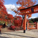 勝尾寺 秋之夜晚 勝尾寺紅葉 勝尾寺 紅葉 勝尾寺夜楓 大阪 夜間紅葉 大阪賞楓景點 大阪賞楓 景點 大阪紅葉景點 大阪紅葉 景點 大阪賞楓 大阪楓葉 大阪紅葉預測 大阪夜楓 大阪夜楓2019 大阪紅葉2019 大阪賞楓2019 大阪楓葉2019 大阪紅葉預測2019