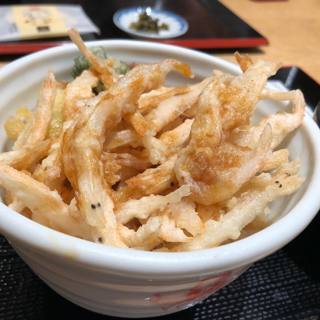 東京必食！食べログ3.5以上！天婦羅丼飯五選 白蝦亭