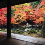 瑠璃光院 紅葉 2019 瑠璃光院 秋の拝観 瑠璃光院 2019年秋の拝観 瑠璃光院 秋季特別參拜 京都紅葉 2019 京都紅葉2019 京都必去 2019 京都景點 2019 京都必看 2019 京都好去處 2019 京都 景點 京都秋天 京都秋季 京都神社 京都祭典 2019