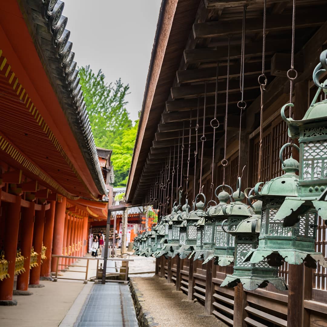 京阪自由行!奈良必去行程懶人包(景點篇) - 春日大社