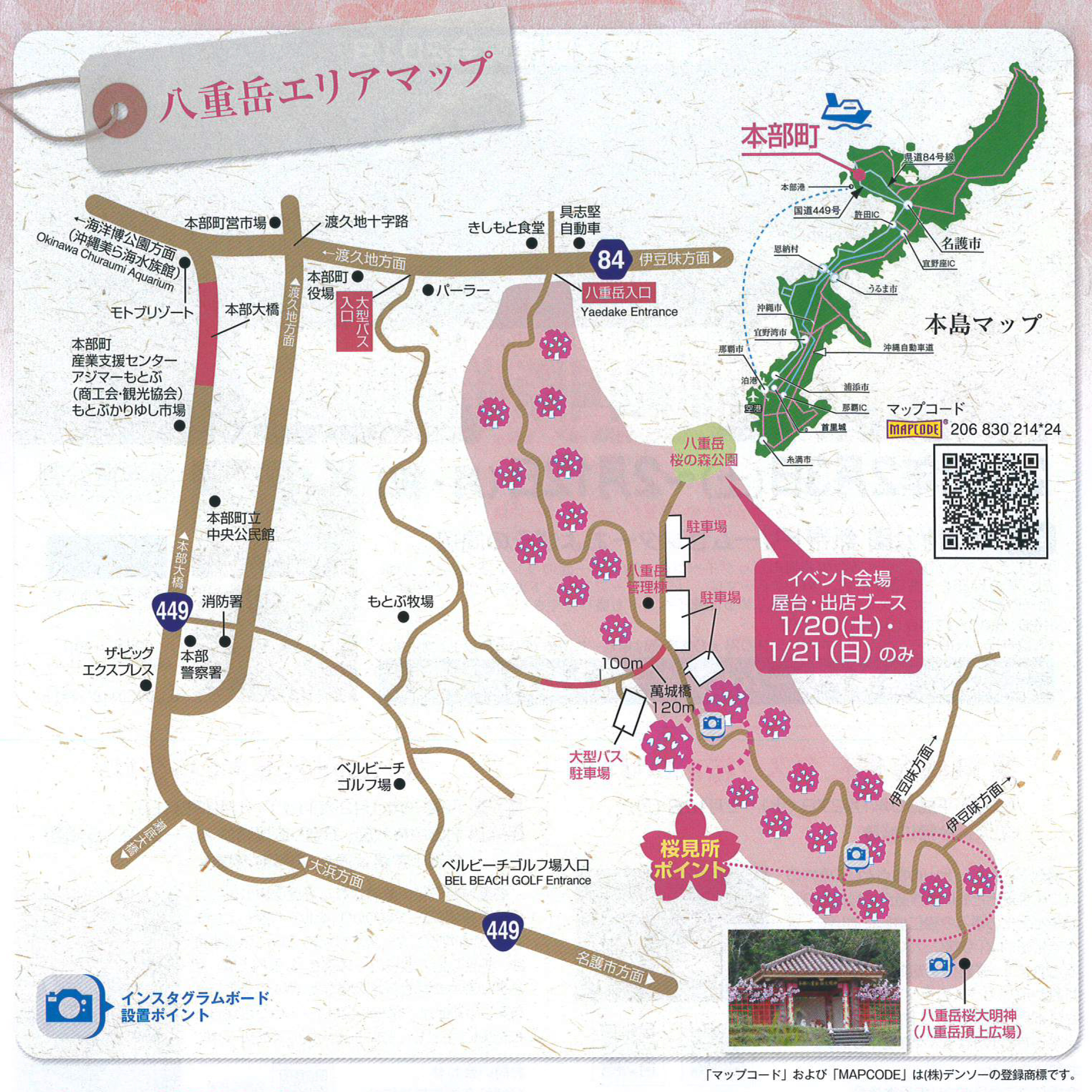 【沖繩一天行程】冬日限定!賞鯨魚/櫻花祭/泡溫泉/無敵海景吊床Cafe/懷舊居酒屋 - 本部八重岳櫻花祭