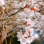 日本 Japan 日本必食 日本必吃 日本必到 日本必去 日本必買 日本必掃 日本自由行 日本行程 日本行程包 日本懶人包 日本好去處 日本景點 日本必到景點 日本美食 日本交通 日本攻略 日本自由行行程 日本自由行行程推薦 日本酒店 日本飯店 日本住宿 日本酒店推薦 日本飯店推薦 日本必住酒店 日本必住飯店 日本必食2019 日本必吃2019 日本必到2019 日本必去2019 日本必買2019 日本必掃2019 日本自由行2019 日本行程2019 日本行程包2019 日本懶人包2019 日本好去處2019 日本景點2019 日本必到景點2019 日本必去景點2019 日本美食2019 日本交通2019 日本攻略2019 日本自由行行程2019 日本自由行行程推薦2019 日本酒店2019 日本飯店2019 日本酒店推薦2019 日本飯店推薦2019 日本必住酒店2019 日本必住飯店2019 日本住宿2019 日本必食2020 日本必吃2020 日本必到2020 日本必去2020 日本必買2020 日本必掃2020 日本自由行2020 日本行程2020 日本行程包2020 日本懶人包2020 日本好去處2020 日本景點2020 日本必到景點2020 日本美食2020 日本交通2020 日本攻略2020 日本自由行行程2020 日本自由行行程推薦2020 日本酒店2020 日本飯店2020 日本住宿2020 日本酒店推薦2020 女飯店推薦2020 日本必住酒店2020 日本必住飯店2020 九州 Kyushu 九州必食 九州必吃 九州必到 九州必去 九州必買 九州必掃 九州自由行 行程 九州行程包 九州懶人包 九州好去處 九州景點 九州必到景點 九州美食 九州交通 九州攻略 九州自由行行程 九州自由行行程推薦 九州酒店 九州飯店 九州住宿 九州酒店推薦 九州飯店推薦 九州必住酒店 九州必住飯店 九州必食2019 九州必吃2019 九州必到2019 九州必去2019 九州必買2019 九州必掃2019 九州自由行2019 九州行程2019 九州行程包2019 九州懶人包2019 九州好去處2019 九州景點2019 九州必到景點2019 九州必去景點2019 九州美食2019 九州交通2019 九州攻略2019 九州自由行行程2019 九州自由行行程推薦2019 九州酒店2019 九州飯店2019 九州酒店推薦2019 九州飯店推薦2019 九州必住酒店2019 九州必住飯店2019 九州住宿2019 九州必食2020 九州必吃2020 九州必到2020 九州必去2020 九州必買2020 九州必掃2020 九州自由行2020 九州行程2020 九州行程包2020 九州懶人包2020 九州好去處2020 九州景點2020 九州必到景點2020 九州美食2020 九州交通2020 九州攻略2020 九州自由行行程2020 九州自由行行程推薦2020 九州酒店2020 九州飯店2020 九州住宿2020 九州酒店推薦2020 九州飯店推薦2020 九州必住酒店2020 九州必住飯店2020 大分 Oita 大分必食 大分必吃 大分必到 大分必去 大分必買 大分必掃 大分自由行 大分行程 大分行程包 大分懶人包 大分好去處 大分景點 大分必到景點 大分美食 大分交通 大分攻略 大分自由行行程 大分自由行行程推薦 大分酒店 大分飯店 大分住宿 大分酒店推薦 大分飯店推薦 大分必住酒店 大分必住飯店 大分必食2019 大分必吃2019 大分必到2019 大分必去2019 大分必買2019 大分必掃2019 大分自由行2019 大分行程2019 大分行程包2019 大分懶人包2019 大分好去處2019 大分景點2019 大分必到景點2019 大分必去景點2019大分 美食2019 大分交通2019 大分攻略2019 大分自由行行程2019 大分自由行行程推薦2019 大分酒店2019大分 飯店2019 大分酒店推薦2019 大分飯店推薦2019 大分必住酒店2019 大分必住飯店2019 大分住宿2019 大分必食2020 大分必吃2020 大分必到2020 大分必去2020 大分必買2020 大分必掃2020 大分自由行2020 大分行程2020 大分行程包2020 大分懶人包2020 大分好去處2020 大分景點2020 大分必到景點2020 大分美食2020 大分交通2020 大分攻略2020 大分自由行行程2020 大分自由行行程推薦2020 大分酒店2020 大分飯店2020 大分住宿2020 大分酒店推薦2020 大分飯店推薦2020 大分必住酒店2020 大分必住飯店2020 鹿兒島 Kagoshima 鹿兒島必食 鹿兒島必吃 鹿兒島必到 鹿兒島必去 鹿兒島必買 鹿兒島必掃 鹿兒島自由行 鹿兒島行程 鹿兒島行程包 鹿兒島懶人包 鹿兒島好去處 鹿兒島景點 鹿兒島必到景點 鹿兒島美食 鹿兒島交通 鹿兒島攻略 鹿兒島自由行行程鹿兒島 自由行行程推薦 鹿兒島酒店 鹿兒島飯店 鹿兒島住宿 鹿兒島酒店推薦 鹿兒島飯店推薦 鹿兒島必住酒店 鹿兒島必住飯店 鹿兒島必食2019 鹿兒島必吃2019 鹿兒島必到2019 鹿兒島必去2019 鹿兒島必買2019 鹿兒島必掃2019 鹿兒島自由行2019 鹿兒島行程2019 鹿兒島行程包2019 鹿兒島懶人包2019 鹿兒島好去處2019 鹿兒島景點2019 鹿兒島必到景點2019 鹿兒島必去景點2019 鹿兒島美食2019 鹿兒島交通2019 鹿兒島攻略2019 鹿兒島自由行行程2019 鹿兒島自由行行程推薦2019 鹿兒島酒店2019 鹿兒島飯店2019 鹿兒島酒店推薦2019 鹿兒島飯店推薦2019 鹿兒島必住酒店2019 鹿兒島必住飯店2019 鹿兒島住宿2019 鹿兒島必食2020 鹿兒島必吃2020 鹿兒島必到2020 鹿兒島必去2020 鹿兒島必買2020 鹿兒島必掃2020 鹿兒島自由行2020 鹿兒島行程2020 鹿兒島行程包2020 鹿兒島懶人包2020 鹿兒島好去處2020 鹿兒島景點2020 鹿兒島必到景點2020 鹿兒島美食2020 鹿兒島交通2020 鹿兒島攻略2020 鹿兒島自由行行程2020 鹿兒島自由行行程推薦2020 鹿兒島酒店2020鹿兒島飯店2020 鹿兒島住宿2020 鹿兒島酒店推薦2020 鹿兒島飯店推薦2020 鹿兒島必住酒店2020 鹿兒島必住飯店2020 長崎 Nagasaki 長崎必食長崎 必吃 長崎必到 長崎必去 長崎必買 長崎必掃 長崎自由行 長崎行程 長崎行程包 長崎懶人包 長崎好去處 長崎景點 長崎必到景點 長崎美食 長崎交通 長崎攻略 長崎自由行行程 長崎自由行行程推薦 長崎酒店 長崎飯店 長崎住宿 長崎酒店推薦 長崎飯店推薦 長崎必住酒店 長崎必住飯店 長崎必食2019 長崎必吃2019 長崎必到2019 長崎必去2019 長崎必買2019 長崎必掃2019 長崎自由行2019 長崎行程2019 長崎行程包2019 長崎懶人包2019 長崎好去處2019 長崎景點2019 長崎必到景點2019 長崎必去景點2019 長崎美食2019 長崎交通2019 長崎攻略2019 長崎自由行行程2019 長崎自由行行程推薦2019 長崎酒店2019 長崎飯店2019 長崎酒店推薦2019 長崎飯店推薦2019 長崎必住酒店2019 長崎必住飯店2019 長崎住宿2019 長崎必食2020 長崎必吃2020 長崎必到2020 長崎必去2020 長崎必買2020 長崎必掃2020 長崎自由行2020 長崎行程2020 長崎行程包2020 長崎懶人包2020 長崎好去處2020 長崎景點2020 長崎必到景點2020 長崎美食2020 長崎交通2020 長崎攻略2020 長崎自由行行程2020 長崎自由行行程推薦2020 長崎酒店2020 長崎飯店2020 長崎住宿2020 長崎酒店推薦2020 長崎飯店推薦2020 長崎必住酒店2020 長崎必住飯店2020 福岡 Hakata 福岡必食 福岡必吃 福岡必到 福岡必去 福岡必買 福岡必掃 福岡自由行 福岡行程 福岡行程包 福岡懶人包 福岡好去處 福岡景點 福岡必到景點 福岡美食 福岡交通 福岡攻略 福岡自由行行程 福岡自由行行程推薦 福岡酒店 福岡飯店 福岡住宿 福岡酒店推薦 福岡飯店推薦 福岡必住酒店 福岡必住飯店 福岡必食2019 福岡必吃2019 福岡必到2019 福岡必去2019 福岡必買2019 福岡必掃2019 福岡自由行2019 福岡行程2019 福岡行程包2019 福岡懶人包2019 福岡好去處2019 福岡景點2019 福岡必到景點2019 福岡必去景點2019 福岡美食2019 福岡交通2019 福岡攻略2019 福岡自由行行程2019 福岡自由行行程推薦2019 福岡酒店2019 福岡飯店2019 福岡酒店推薦2019 福岡飯店推薦2019 福岡必住酒店2019 福岡必住飯店2019 福岡住宿2019 福岡必食2020 福岡必吃2020 福岡必到2020 福岡必去2020 福岡必買2020 福岡必掃2020 福岡自由行2020 福岡行程2020 福岡行程包2020 福岡懶人包2020 福岡好去處2020 福岡景點2020 福岡必到景點2020 福岡美食2020 福岡交通2020 福岡攻略2020 福岡自由行行程2020 福岡自由行行程推薦2020 福岡酒店2020 福岡飯店2020 福岡住宿2020 福岡酒店推薦2020 福岡飯店推薦2020 福岡必住酒店2020 福岡必住飯店2020 熊本 Kumamoto 熊本必食 熊本必吃 熊本必到 熊本必去 熊本必買 熊本必掃 熊本自由行 熊本行程 熊本行程包 熊本懶人包 熊本好去處 熊本景點 熊本必到景點 熊本美食 熊本交通 熊本攻略 熊本自由行行程 熊本自由行行程推薦 熊本酒店 熊本飯店 熊本住宿 熊本酒店推薦 熊本飯店推薦 熊本必住酒店 熊本必住飯店 熊本必食2019 熊本必吃2019 熊本必到2019 熊本必去2019 熊本必買2019 熊本必掃2019 熊本自由行2019 熊本行程2019 熊本行程包2019 熊本懶人包2019 熊本好去處2019 熊本景點2019 熊本必到景點2019 熊本必去景點2019 熊本美食2019 熊本交通2019 熊本攻略2019 熊本自由行行程2019 熊本自由行行程推薦2019 熊本酒店2019 熊本飯店2019 熊本酒店推薦2019 熊本飯店推薦2019 熊本必住酒店2019 熊本必住飯店2019 住宿2019 熊本必食2020 熊本必吃2020 熊本必到2020 熊本必去2020 熊本必買2020 熊本必掃2020 熊本自由行2020 熊本行程2020 熊本行程包2020 熊本懶人包2020 熊本好去處2020 熊本景點2020 熊本必到景點2020 熊本美食2020 熊本交通2020 熊本攻略2020 熊本自由行行程2020 熊本自由行行程推薦2020 熊本酒店2020 熊本飯店2020 熊本住宿2020 熊本酒店推薦2020 熊本飯店推薦2020 熊本必住酒店2020 熊本必住飯店2020 佐賀 Saga 佐賀必食 佐賀必吃 佐賀必到 佐賀必去 佐賀必買 佐賀必掃 佐賀自由行 佐賀行程 佐賀行程包 佐賀懶人包 佐賀好去處 佐賀景點 佐賀必到景點 佐賀美食 佐賀交通 佐賀攻略 佐賀自由行行程 佐賀自由行行程推薦 佐賀酒店 佐賀飯店 佐賀住宿 佐賀酒店推薦 佐賀飯店推薦 佐賀必住酒店 佐賀必住飯店 佐賀必食2019 佐賀必吃2019 佐賀必到2019 佐賀必去2019 佐賀必買2019 佐賀必掃2019 佐賀自由行2019 佐賀行程2019 佐賀行程包2019 佐賀懶人包2019 佐賀好去處2019 佐賀景點2019 佐賀必到景點2019 佐賀必去景點2019 佐賀美食2019 佐賀交通2019 佐賀攻略2019 佐賀自由行行程2019 佐賀自由行行程推薦2019 佐賀酒店2019 佐賀飯店2019 佐賀酒店推薦2019 佐賀飯店推薦2019 佐賀必住酒店2019 佐賀必住飯店2019 佐賀住宿2019 佐賀必食2020 佐賀必吃2020 佐賀必到2020 佐賀必去2020 佐賀必買2020 佐賀必掃2020 佐賀自由行2020 佐賀行程2020 佐賀行程包2020 佐賀懶人包2020 佐賀好去處2020 佐賀景點2020 佐賀必到景點2020 佐賀美食2020 佐賀交通2020 佐賀攻略2020 佐賀自由行行程2020 佐賀自由行行程推薦2020 佐賀酒店2020 佐賀飯店2020 佐賀住宿2020 佐賀酒店推薦2020 佐賀飯店推薦2020 佐賀必住酒店2020 佐賀必住飯店2020 宮崎 Miyazaki 宮崎必食 宮崎必吃 宮崎必到 宮崎必去 宮崎必買 宮崎必掃 宮崎自由行 宮崎行程 宮崎行程包 宮崎懶人包 宮崎好去處 宮崎景點 宮崎必到景點 宮崎美食 宮崎交通 宮崎攻略 宮崎自由行行程 宮崎自由行行程推薦 宮崎酒店 宮崎飯店 宮崎住宿 宮崎酒店推薦 宮崎飯店推薦 宮崎必住酒店 宮崎必住飯店 宮崎必食2019 宮崎必吃2019 宮崎必到2019 宮崎必去2019 宮崎必買2019 宮崎必掃2019 宮崎自由行2019 宮崎行程2019 宮崎行程包2019 宮崎懶人包2019 宮崎好去處2019 宮崎景點2019 宮崎必到景點2019 宮崎必去景點2019 宮崎美食2019 宮崎交通2019 宮崎攻略2019 宮崎自由行行程2019 宮崎自由行行程推薦2019 宮崎酒店2019 宮崎飯店2019 宮崎酒店推薦2019 宮崎飯店推薦2019 宮崎必住酒店2019 宮崎必住飯店2019 宮崎住宿2019 宮崎必食2020 宮崎必吃2020 宮崎必到2020 宮崎必去2020 宮崎必買2020 宮崎必掃2020 宮崎自由行2020 宮崎行程2020 宮崎行程包2020 宮崎懶人包2020 宮崎好去處2020 宮崎景點2020 宮崎必到景點2020 宮崎美食2020 宮崎交通2020 宮崎攻略2020 宮崎自由行行程2020 宮崎自由行行程推薦2020 宮崎酒店2020 宮崎飯店2020 宮崎住宿2020 宮崎酒店推薦2020 宮崎飯店推薦2020 宮崎必住酒店2020 宮崎必住飯店2020 舞鶴公園 西公園 甘木公園 丸山公園 淺井的一本櫻 浅井の一本桜 秋月杉之馬場 秋月杉の馬場 小倉城勝山公園 勝山公園 一心行大櫻 一心行の大桜 水前寺成趣園 仙巖園 仙巌園 御船山樂園 御船山楽園 小城公園 母智丘公園 岡城跡 大村公園 日本櫻花 日本櫻花景點 日本賞櫻 日本櫻花攻略 日本賞櫻攻略 日本櫻花2020 日本櫻花景點2020 日本賞櫻2020 日本櫻花攻略2020 日本賞櫻攻略2020 福岡櫻花 福岡櫻花景點 福岡賞櫻 福岡櫻花攻略 福岡賞櫻攻略 福岡櫻花2020 福岡櫻花景點2020 福岡賞櫻2020 福岡櫻花攻略2020 福岡賞櫻攻略2020 熊本櫻花 熊本櫻花景點 熊本賞櫻 熊本櫻花攻略 熊本賞櫻攻略 熊本櫻花2020 熊本櫻花景點2020 熊本賞櫻2020 熊本櫻花攻略2020 熊本賞櫻攻略2020 鹿兒島櫻花 鹿兒島櫻花景點 鹿兒島賞櫻 鹿兒島櫻花攻略 鹿兒島賞櫻攻略 鹿兒島櫻花2020 鹿兒島櫻花景點2020 鹿兒島賞櫻2020 鹿兒島櫻花攻略2020 鹿兒島賞櫻攻略2020 佐賀櫻花 佐賀櫻花景點 佐賀賞櫻 佐賀櫻花攻略 佐賀賞櫻攻略 佐賀櫻花2020 佐賀櫻花景點2020 佐賀賞櫻2020 佐賀櫻花攻略2020 佐賀賞櫻攻略2020 宮崎櫻花 宮崎櫻花景點 宮崎賞櫻 宮崎櫻花攻略 宮崎賞櫻攻略 宮崎櫻花2020 宮崎櫻花景點2020 宮崎賞櫻2020 宮崎櫻花攻略2020 宮崎賞櫻攻略2020 大分櫻花 大分櫻花景點 大分賞櫻 大分櫻花攻略 大分賞櫻攻略 大分櫻花2020 大分櫻花景點2020 大分賞櫻2020 大分櫻花攻略2020 大分賞櫻攻略2020 長崎櫻花 長崎櫻花景點 長崎賞櫻 長崎櫻花攻略 長崎賞櫻攻略 長崎櫻花2020 長崎櫻花景點2020 長崎賞櫻2020 長崎櫻花攻略2020 長崎賞櫻攻略2020 舞鶴公園2019 舞鶴公園楓葉 舞鶴公園櫻花 舞鶴公園紅葉 舞鶴公園9月 舞鶴公園1月 舞鶴公園夜櫻 舞鶴公園交通 舞鶴公園12月 舞鶴公園英文 西公園櫻花2019 西公園仙台 西公園紅葉 福岡西公園櫻花 舞鶴公園 大濠公園 西公園交通 大濠公園美食 福岡城大濠公園 博多到大濠公園 甘木公園櫻花 甘木公園交通 舞鶴公園 福岡櫻花時間 舞鶴公園櫻花2019 福岡賞櫻時間 甘木觀光巴士 福岡櫻花2020 舞鶴公園夜櫻 福岡賞櫻2019 福岡櫻花時間 福岡櫻花2019 福岡櫻花祭 長崎櫻花2019 岡山櫻花2019 福岡絕景 櫻花季節 輕井澤櫻花 青森櫻花2019 日光櫻花2019 秋月日本 秋月城跡午餐 秋月城舊址 秋月城跡黑門 秋月城舊址交通 朝倉市美食 福岡秋月城跡賞楓 秋月城跡開放時間 秋月城跡楓葉 秋月城跡自駕 勝山公園紅葉 勝山公園楓葉 勝山公園櫻花 勝山公園停車場 小倉城 竉門神社 小倉城晚上 小倉城開放時間 福岡夜楓 一心行大櫻2019 白川水源 南阿蘇景點 白川水源2018 阿蘇景點2018 阿蘇地圖 熊本絕景 阿蘇山9月 阿蘇火山10月 草千里10月 水前寺成趣園紅葉 水前寺成趣園2019 水前寺成趣園必買 水前寺成趣園停留時間 水前寺成趣園冬天 水前寺成趣園停車 水前寺成趣園美食 水前寺成趣園抹茶 水前寺成趣園mapcode 水前寺成趣園楓葉 仙巖園停留時間 仙巖園和服 仙巖園紅葉 仙巖園星巴克 仙巖園貓神社 仙巖園世界遺產 仙巖園茶寮 仙巖園mapcode 仙巖園2018 仙巖園公車 御船山樂園2019 御船山樂園teamlab 御船山樂園值得去嗎 御船山樂園門票 御船山樂園櫻花 御船山樂園teamlab 2019 御船山樂園hotel 御船山樂園紅葉祭2019 佐賀御船山樂園teamlab 御船山樂園酒店blog 佐賀小城 小城景點 舞鶴公園 御船山樂園 佐賀小城景點 母智丘公園交通 岡城跡交通 岡城跡櫻花 岡城跡紅葉 大分縣岡城跡 岡城跡賞楓 岡城跡楓葉 岡城交通 岡城櫻花祭 豐後竹田車站 豐後景點 大村公園櫻花2019 大村公園2019 大村公園巴士 大村公園mapcode omura park大村公園 長崎大村公園櫻花2019 彰化大村公園 九州大村 大村公園玖島城跡 大村市景點