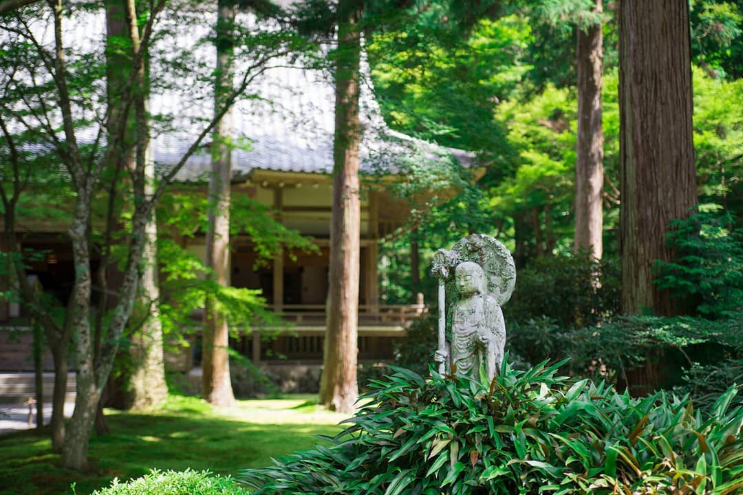 三千院 さんぜんいん Sanzen-in 櫻花 紫陽花 三千院冬天 三千院櫻花 三千院日本 三千院時間 三千院門票 大原三千院夏天 大原三千院美食 三千院行程 三千院紫陽花 三千院春