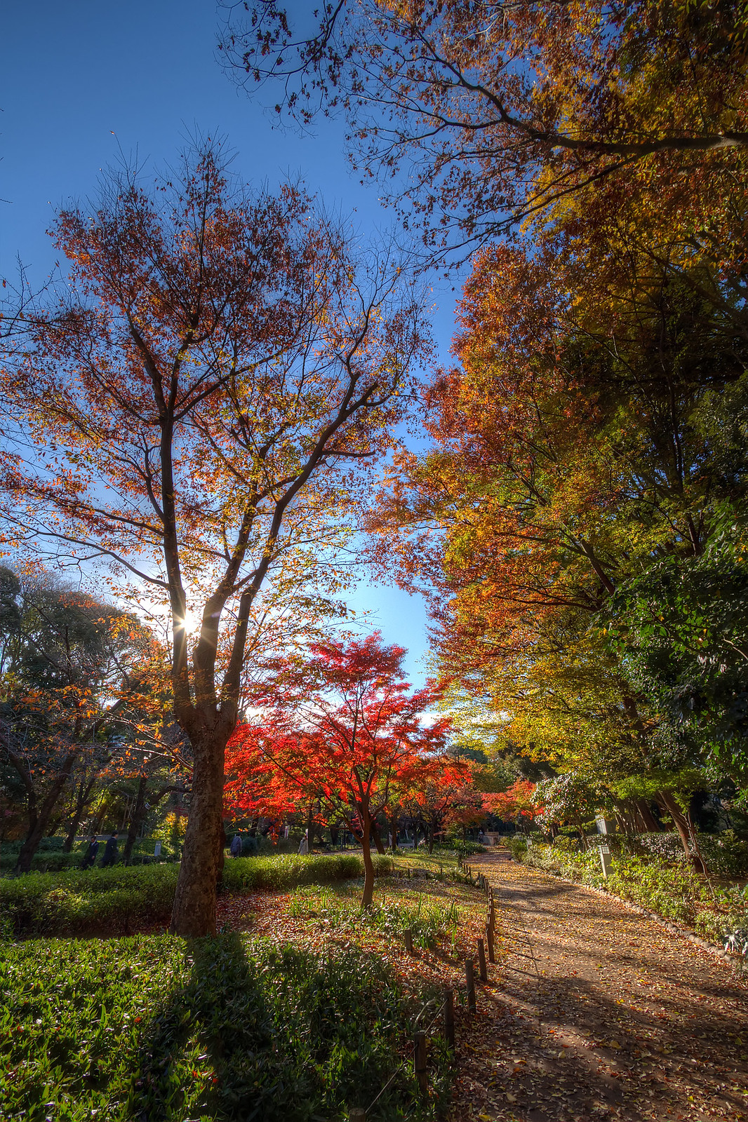 上野恩賜公園|日本 Japan 日本必食 日本必吃 日本必到 日本必去 日本必買 日本必掃 日本自由行 日本行程 日本行程包 日本懶人包 日本好去處 日本景點 日本必到景點 日本必去景點 日本美食 日本交通 日本攻略 日本自由行行程 日本自由行行程推薦 日本酒店 日本飯店 日本酒店推薦 日本飯店推薦 日本必住酒店 日本必住飯店 日本必食2019 日本必吃2019 日本必到2019 日本必去2019 日本必買2019 日本必掃2019 日本自由行2019 日本行程2019 日本行程包2019 日本懶人包2019 日本好去處2019 日本景點2019 日本必到景點2019 日本必去景點2019 日本美食2019 日本交通2019 日本攻略2019 日本自由行行程2019 日本自由行行程推薦2019 日本酒店2019 日本飯店2019 日本酒店推薦2019 日本飯店推薦2019 日本必住酒店2019 日本必住飯店2019 東京 Tokyo 東京必食 東京必吃 東京必到 東京必去 東京必買 東京必掃 東京自由行 東京行程 東京行程包 東京懶人包 東京好去處 東京景點 東京必到景點 東京必去景點 東京美食 東京交通 東京攻略 東京自由行行程 東京自由行行程推薦 東京酒店 東京飯店 東京酒店推薦 東京飯店推薦 東京必住酒店 東京必住飯店 東京必食2019 東京必吃2019 東京必到2019 東京必去2019 東京必買2019 東京必掃2019 東京自由行2019 東京行程2019 東京行程包2019 東京懶人包2019 東京好去處2019 東京景點2019 東京必到景點2019 東京必去景點2019 東京美食2019 東京交通2019 東京攻略2019 東京自由行行程2019 東京自由行行程推薦2019 東京酒店2019 東京飯店2019 東京酒店推薦2019 東京飯店推薦2019 東京必住酒店2019 東京必住飯店2019 銀杏2019 日本銀杏 日本銀杏2019 東京銀杏 東京銀杏2019 楓葉2019 紅葉2019 日本楓葉2019 日本楓葉 日本紅葉 日本紅葉2019 東京楓葉2019 東京楓葉 東京紅葉 東京紅葉2019 國營昭和紀念公園 國營昭和紀念公園紅葉 國營昭和紀念公園楓葉 國營昭和紀念公園2019 國營昭和紀念公園紅葉2019 國營昭和紀念公園楓葉2019六義園 六義園紅葉 六義園楓葉 六義園2019 六義園紅葉2019 六義園楓葉2019 新宿御苑 新宿御苑紅葉 新宿御苑楓葉 新宿御苑2019 新宿御苑紅葉2019 新宿御苑楓葉2019 小石川後樂園 小石川後樂園紅葉 小石川後樂園楓葉 小石川後樂園2019 小石川後樂園紅葉2019 小石川後樂園楓葉2019 井之頭恩賜公園 井之頭恩賜公園紅葉 井之頭恩賜公園楓葉 井之頭恩賜公園2019 井之頭恩賜公園紅葉2019 井之頭恩賜公園楓葉2019 飛鳥山公園 飛鳥山公園紅葉 飛鳥山公園楓葉 飛鳥山公園2019 飛鳥山公園紅葉2019 飛鳥山公園楓葉2019 代代木公園 代代木公園紅葉 代代木公園楓葉 代代木公園2019 代代木公園紅葉2019 代代木公園楓葉2019 上野恩賜公園 上野恩賜公園紅葉 上野恩賜公園楓葉 上野恩賜公園2019 上野恩賜公園紅葉2019 上野恩賜公園楓葉2019 上野恩賜公園門票 上野恩賜公園地圖 上野恩賜公園交通 上野恩賜公園櫻花 上野恩賜公園2019 上野恩賜公園夏天 上野恩賜公園星巴克 上野恩賜公園楓葉 上野恩賜公園官網 上野公園門票