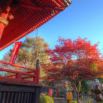 上野恩賜公園|日本 Japan 日本必食 日本必吃 日本必到 日本必去 日本必買 日本必掃 日本自由行 日本行程 日本行程包 日本懶人包 日本好去處 日本景點 日本必到景點 日本必去景點 日本美食 日本交通 日本攻略 日本自由行行程 日本自由行行程推薦 日本酒店 日本飯店 日本酒店推薦 日本飯店推薦 日本必住酒店 日本必住飯店 日本必食2019 日本必吃2019 日本必到2019 日本必去2019 日本必買2019 日本必掃2019 日本自由行2019 日本行程2019 日本行程包2019 日本懶人包2019 日本好去處2019 日本景點2019 日本必到景點2019 日本必去景點2019 日本美食2019 日本交通2019 日本攻略2019 日本自由行行程2019 日本自由行行程推薦2019 日本酒店2019 日本飯店2019 日本酒店推薦2019 日本飯店推薦2019 日本必住酒店2019 日本必住飯店2019 東京 Tokyo 東京必食 東京必吃 東京必到 東京必去 東京必買 東京必掃 東京自由行 東京行程 東京行程包 東京懶人包 東京好去處 東京景點 東京必到景點 東京必去景點 東京美食 東京交通 東京攻略 東京自由行行程 東京自由行行程推薦 東京酒店 東京飯店 東京酒店推薦 東京飯店推薦 東京必住酒店 東京必住飯店 東京必食2019 東京必吃2019 東京必到2019 東京必去2019 東京必買2019 東京必掃2019 東京自由行2019 東京行程2019 東京行程包2019 東京懶人包2019 東京好去處2019 東京景點2019 東京必到景點2019 東京必去景點2019 東京美食2019 東京交通2019 東京攻略2019 東京自由行行程2019 東京自由行行程推薦2019 東京酒店2019 東京飯店2019 東京酒店推薦2019 東京飯店推薦2019 東京必住酒店2019 東京必住飯店2019 銀杏2019 日本銀杏 日本銀杏2019 東京銀杏 東京銀杏2019 楓葉2019 紅葉2019 日本楓葉2019 日本楓葉 日本紅葉 日本紅葉2019 東京楓葉2019 東京楓葉 東京紅葉 東京紅葉2019 國營昭和紀念公園 國營昭和紀念公園紅葉 國營昭和紀念公園楓葉 國營昭和紀念公園2019 國營昭和紀念公園紅葉2019 國營昭和紀念公園楓葉2019六義園 六義園紅葉 六義園楓葉 六義園2019 六義園紅葉2019 六義園楓葉2019 新宿御苑 新宿御苑紅葉 新宿御苑楓葉 新宿御苑2019 新宿御苑紅葉2019 新宿御苑楓葉2019 小石川後樂園 小石川後樂園紅葉 小石川後樂園楓葉 小石川後樂園2019 小石川後樂園紅葉2019 小石川後樂園楓葉2019 井之頭恩賜公園 井之頭恩賜公園紅葉 井之頭恩賜公園楓葉 井之頭恩賜公園2019 井之頭恩賜公園紅葉2019 井之頭恩賜公園楓葉2019 飛鳥山公園 飛鳥山公園紅葉 飛鳥山公園楓葉 飛鳥山公園2019 飛鳥山公園紅葉2019 飛鳥山公園楓葉2019 代代木公園 代代木公園紅葉 代代木公園楓葉 代代木公園2019 代代木公園紅葉2019 代代木公園楓葉2019 上野恩賜公園 上野恩賜公園紅葉 上野恩賜公園楓葉 上野恩賜公園2019 上野恩賜公園紅葉2019 上野恩賜公園楓葉2019 上野恩賜公園門票 上野恩賜公園地圖 上野恩賜公園交通 上野恩賜公園櫻花 上野恩賜公園2019 上野恩賜公園夏天 上野恩賜公園星巴克 上野恩賜公園楓葉 上野恩賜公園官網 上野公園門票