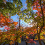 上野恩賜公園|日本 Japan 日本必食 日本必吃 日本必到 日本必去 日本必買 日本必掃 日本自由行 日本行程 日本行程包 日本懶人包 日本好去處 日本景點 日本必到景點 日本必去景點 日本美食 日本交通 日本攻略 日本自由行行程 日本自由行行程推薦 日本酒店 日本飯店 日本酒店推薦 日本飯店推薦 日本必住酒店 日本必住飯店 日本必食2019 日本必吃2019 日本必到2019 日本必去2019 日本必買2019 日本必掃2019 日本自由行2019 日本行程2019 日本行程包2019 日本懶人包2019 日本好去處2019 日本景點2019 日本必到景點2019 日本必去景點2019 日本美食2019 日本交通2019 日本攻略2019 日本自由行行程2019 日本自由行行程推薦2019 日本酒店2019 日本飯店2019 日本酒店推薦2019 日本飯店推薦2019 日本必住酒店2019 日本必住飯店2019 東京 Tokyo 東京必食 東京必吃 東京必到 東京必去 東京必買 東京必掃 東京自由行 東京行程 東京行程包 東京懶人包 東京好去處 東京景點 東京必到景點 東京必去景點 東京美食 東京交通 東京攻略 東京自由行行程 東京自由行行程推薦 東京酒店 東京飯店 東京酒店推薦 東京飯店推薦 東京必住酒店 東京必住飯店 東京必食2019 東京必吃2019 東京必到2019 東京必去2019 東京必買2019 東京必掃2019 東京自由行2019 東京行程2019 東京行程包2019 東京懶人包2019 東京好去處2019 東京景點2019 東京必到景點2019 東京必去景點2019 東京美食2019 東京交通2019 東京攻略2019 東京自由行行程2019 東京自由行行程推薦2019 東京酒店2019 東京飯店2019 東京酒店推薦2019 東京飯店推薦2019 東京必住酒店2019 東京必住飯店2019 銀杏2019 日本銀杏 日本銀杏2019 東京銀杏 東京銀杏2019 楓葉2019 紅葉2019 日本楓葉2019 日本楓葉 日本紅葉 日本紅葉2019 東京楓葉2019 東京楓葉 東京紅葉 東京紅葉2019 國營昭和紀念公園 國營昭和紀念公園紅葉 國營昭和紀念公園楓葉 國營昭和紀念公園2019 國營昭和紀念公園紅葉2019 國營昭和紀念公園楓葉2019六義園 六義園紅葉 六義園楓葉 六義園2019 六義園紅葉2019 六義園楓葉2019 新宿御苑 新宿御苑紅葉 新宿御苑楓葉 新宿御苑2019 新宿御苑紅葉2019 新宿御苑楓葉2019 小石川後樂園 小石川後樂園紅葉 小石川後樂園楓葉 小石川後樂園2019 小石川後樂園紅葉2019 小石川後樂園楓葉2019 井之頭恩賜公園 井之頭恩賜公園紅葉 井之頭恩賜公園楓葉 井之頭恩賜公園2019 井之頭恩賜公園紅葉2019 井之頭恩賜公園楓葉2019 飛鳥山公園 飛鳥山公園紅葉 飛鳥山公園楓葉 飛鳥山公園2019 飛鳥山公園紅葉2019 飛鳥山公園楓葉2019 代代木公園 代代木公園紅葉 代代木公園楓葉 代代木公園2019 代代木公園紅葉2019 代代木公園楓葉2019 上野恩賜公園 上野恩賜公園紅葉 上野恩賜公園楓葉 上野恩賜公園2019 上野恩賜公園紅葉2019 上野恩賜公園楓葉2019 上野恩賜公園門票 上野恩賜公園地圖 上野恩賜公園交通 上野恩賜公園櫻花 上野恩賜公園2019 上野恩賜公園夏天 上野恩賜公園星巴克 上野恩賜公園楓葉 上野恩賜公園官網 上野公園門票