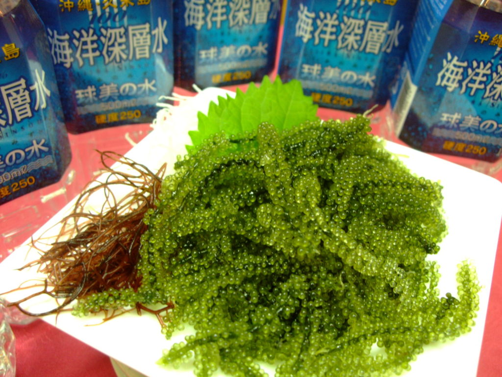 沖繩久米島 久米島自由行 久米島旅遊 久米島美食 久乎島餐廳 南島食樂園 海葡萄