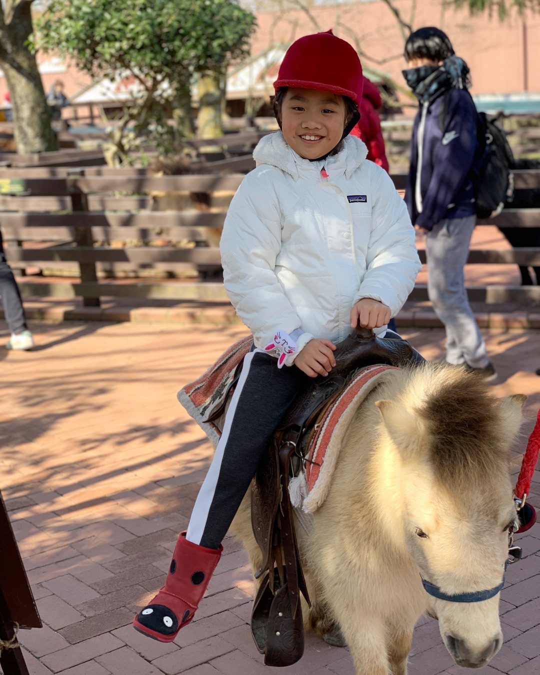 叢林巴士 別府站 大分景點 龜之井巴士 九州自然動物園 騎馬 九州自然野生動物園 迷你馬 迷你馬體驗區 African Safari 九州自由行 九州自駕遊 九州景點 九州必去 九州親子 九州親子遊 九州親子景點 九州 親子景點 九州樂園