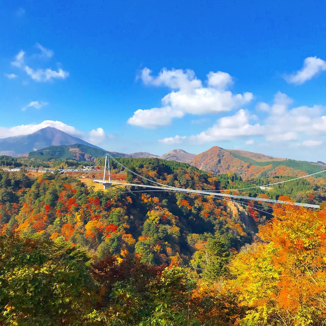 九重”夢”大吊橋　Kokonoe “Yume” Otsurihashi 九州紅葉 九州賞楓 九州秘境 九州景點 九州必去 九州自由行 九州自駕遊