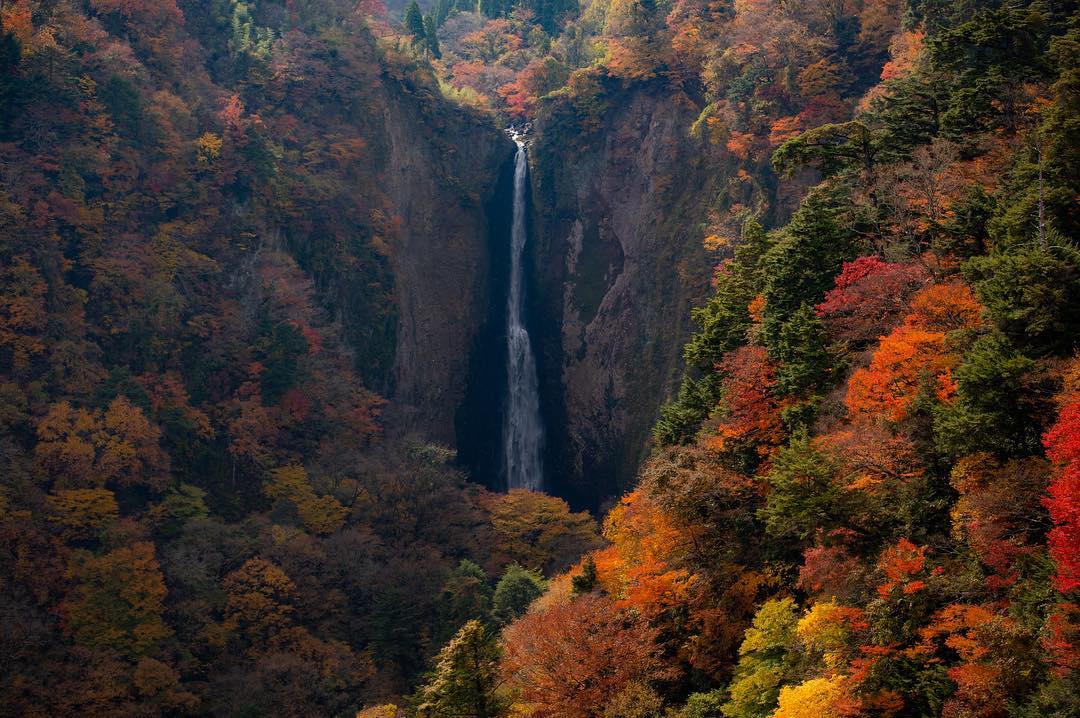 九重”夢”大吊橋　Kokonoe “Yume” Otsurihashi 九州紅葉 九州賞楓 九州秘境 九州景點 九州必去 九州自由行 九州自駕遊