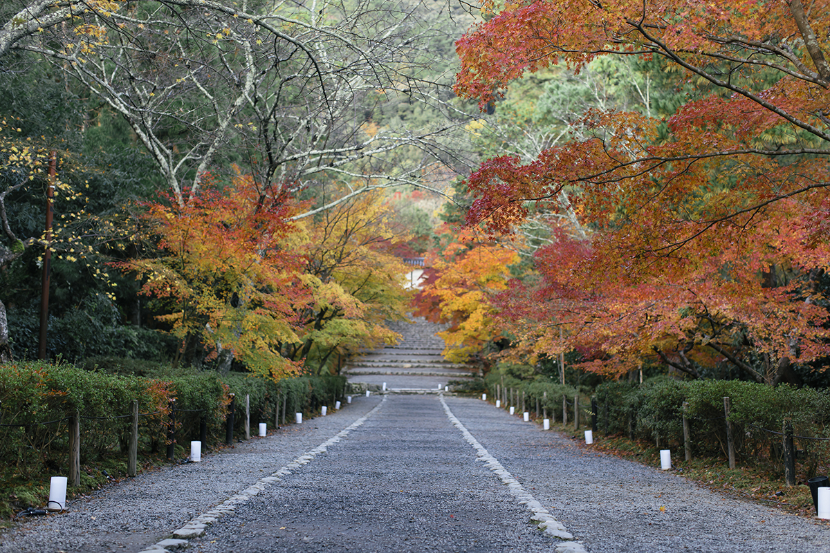 京都一天行程: 嵐山紅葉遊