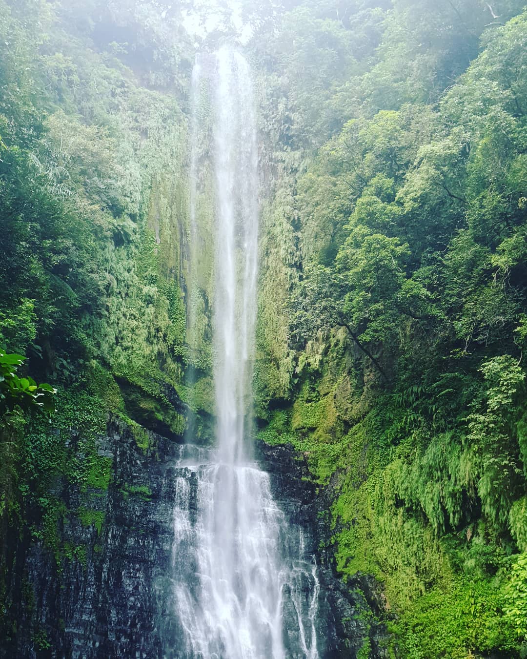 五峰旗瀑布｜台灣 Taiwan 台灣必食 台灣必吃 台灣必到 台灣必去 台灣必買 台灣必掃 台灣自由行 台灣行程 台灣行程包 台灣懶人包 台灣好去處 台灣景點 台灣必到景點 台灣必去景點 台灣美食 台灣交通 台灣攻略 台灣自由行行程 台灣自由行行程推薦 台灣住宿 台灣酒店 台灣飯店 台灣住宿推薦 台灣酒店推薦 台灣飯店推薦 台灣住宿推介 台灣酒店推介 台灣飯店推介 台灣必住酒店 台灣必住飯店 台灣必食2019 台灣必吃2019 台灣必到2019 台灣必去2019 台灣必買2019 台灣必掃2019 台灣自由行2019 台灣行程2019 台灣行程包2019 台灣懶人包2019 台灣好去處2019 台灣景點2019 台灣必到景點2019 台灣必去景點2019 台灣美食2019 台灣交通2019 台灣攻略2019 台灣自由行行程2019 台灣自由行行程推薦2019 台灣住宿2019 台灣酒店2019 台灣飯店2019 台灣住宿推薦2019 台灣酒店推薦2019 台灣飯店推薦2019 台灣住宿推介2019 台灣酒店推介2019 台灣飯店推介2019 台灣必住酒店2019 台灣必住飯店2019 宜蘭 Yilan 宜蘭必食 宜蘭必吃 宜蘭必到 宜蘭必去 宜蘭必買 宜蘭必掃 宜蘭自由行 宜蘭行程 宜蘭行程包 宜蘭懶人包 宜蘭好去處 宜蘭景點 宜蘭必到景點 宜蘭美食 宜蘭交通 宜蘭攻略 宜蘭自由行行程 宜蘭自由行行程推薦 宜蘭酒店 宜蘭飯店 宜蘭酒店推薦 宜蘭飯店推薦 宜蘭必住酒店 宜蘭必住飯店 宜蘭必食2019 宜蘭必吃2019 宜蘭必到2019 宜蘭必去2019 宜蘭必買2019 宜蘭必掃2019 宜蘭自由行2019 宜蘭行程2019 宜蘭行程包2019 宜蘭懶人包2019 宜蘭好去處2019 宜蘭景點2019 宜蘭必到景點2019 宜蘭必去景點2019 宜蘭美食2019 宜蘭交通2019 宜蘭攻略2019 宜蘭自由行行程2019 宜蘭自由行行程推薦2019 宜蘭酒店2019 宜蘭飯店2019 宜蘭酒店推薦2019 宜蘭飯店推薦2019 宜蘭必住酒店2019 宜蘭必住飯店2019 羅東夜市 蘭陽博物館 礁溪溫泉公園 幾米公園 梅花湖 國立傳統藝術中心 宜蘭國立傳統藝術中心 幸福轉運站 湯圍溝溫泉公園 林美石磐步道 宜蘭酒廠 甲子蘭酒文物館 五峰旗瀑布 橘之鄉蜜餞形象館 清水地熱 五峰旗瀑布封閉 五峰旗瀑布2019 五峰旗瀑布停留時間 五峰旗瀑布附近景點 五峰旗瀑布天氣 宜蘭五峰旗瀑布開放 五峰旗瀑布烤肉 五峰旗瀑布野餐 五峰旗瀑布英文 五峰旗瀑布高度