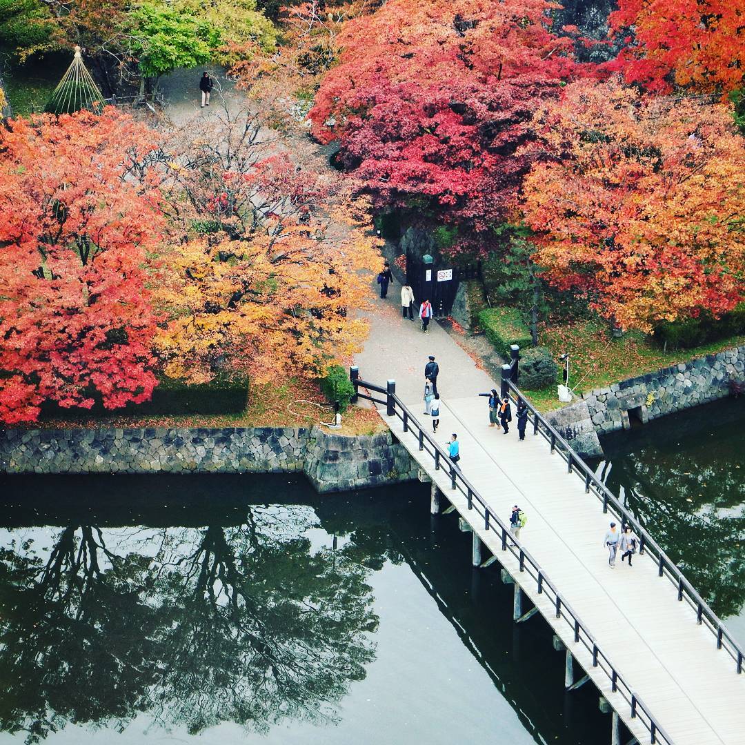 五稜郭|日本 Japan 日本必食 日本必吃 日本必到 日本必去 日本必買 日本必掃 日本自由行 日本行程 日本行程包 日本懶人包 日本好去處 日本景點 日本必到景點 日本必去景點 日本美食 日本交通 日本攻略 日本自由行行程 日本自由行行程推薦 日本酒店 日本飯店 日本酒店推薦 日本飯店推薦 日本必住酒店 日本必住飯店 日本必食2019 日本必吃2019 日本必到2019 日本必去2019 日本必買2019 日本必掃2019 日本自由行2019 日本行程2019 日本行程包2019 日本懶人包2019 日本好去處2019 日本景點2019 日本必到景點2019 日本必去景點2019 日本美食2019 日本交通2019 日本攻略2019 日本自由行行程2019 日本自由行行程推薦2019 日本酒店2019 日本飯店2019 日本酒店推薦2019 日本飯店推薦2019 日本必住酒店2019 日本必住飯店2019 北海道 Hokkaido 北海道必食 北海道必吃 北海道必到 北海道必去 北海道必買 北海道北海道必掃 北海道自由行 北海道行程 北海道行程包 北海道懶人包 北海道好去處 北海道景點 北海道必到景點 北海道必去景點 北海道美食 北海道交通 北海道攻略 北海道自由行行程 北海道自由行行程推薦 北海道酒店 北海道飯店 北海道酒店推薦 北海道飯店推薦 北海道必住酒店 北海道必住飯店 北海道必吃2019 北海道必到2019 北海道必去2019 北海道必買2019 北海道必掃2019 北海道自由行2019 北海道行程2019 北海道行程包2019 北海道懶人包2019 北海道好去處2019 北海道景點2019 北海道必到景點2019 北海道必去景點2019 北海道美食2019 北海道交通2019 北海道攻略2019 北海道自由行行程2019 北海道自由行行程推薦2019 北海道酒店2019 北海道飯店2019 北海道酒店推薦2019 北海道飯店推薦2019 北海道必住酒店2019 北海道必住飯店2019 北海道紅葉預測 北海道楓葉預測 見晴公園 香雪園 函館 五稜郭 大沼國定公園 大沼 大湯沼 登別 豐平峽 札幌 藻岩山 札幌 北海道大學 青池 美瑛 大雪山國立公園 上川 知床五湖 知床半島 五稜郭塔 五稜郭櫻花 五稜郭夜景 五稜郭美食 五稜郭塔折價券2019 五稜郭塔折價券2018 五稜郭冬天 五稜郭點燈 五稜郭設計 五稜郭逛街
