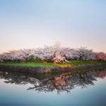 五稜郭|日本 Japan 日本必食 日本必吃 日本必到 日本必去 日本必買 日本必掃 日本自由行 日本行程 日本行程包 日本懶人包 日本好去處 日本景點 日本必到景點 日本必去景點 日本美食 日本交通 日本攻略 日本自由行行程 日本自由行行程推薦 日本酒店 日本飯店 日本酒店推薦 日本飯店推薦 日本必住酒店 日本必住飯店 日本必食2019 日本必吃2019 日本必到2019 日本必去2019 日本必買2019 日本必掃2019 日本自由行2019 日本行程2019 日本行程包2019 日本懶人包2019 日本好去處2019 日本景點2019 日本必到景點2019 日本必去景點2019 日本美食2019 日本交通2019 日本攻略2019 日本自由行行程2019 日本自由行行程推薦2019 日本酒店2019 日本飯店2019 日本酒店推薦2019 日本飯店推薦2019 日本必住酒店2019 日本必住飯店2019 北海道 Hokkaido 北海道必食 北海道必吃 北海道必到 北海道必去 北海道必買 北海道北海道必掃 北海道自由行 北海道行程 北海道行程包 北海道懶人包 北海道好去處 北海道景點 北海道必到景點 北海道必去景點 北海道美食 北海道交通 北海道攻略 北海道自由行行程 北海道自由行行程推薦 北海道酒店 北海道飯店 北海道酒店推薦 北海道飯店推薦 北海道必住酒店 北海道必住飯店 北海道必吃2019 北海道必到2019 北海道必去2019 北海道必買2019 北海道必掃2019 北海道自由行2019 北海道行程2019 北海道行程包2019 北海道懶人包2019 北海道好去處2019 北海道景點2019 北海道必到景點2019 北海道必去景點2019 北海道美食2019 北海道交通2019 北海道攻略2019 北海道自由行行程2019 北海道自由行行程推薦2019 北海道酒店2019 北海道飯店2019 北海道酒店推薦2019 北海道飯店推薦2019 北海道必住酒店2019 北海道必住飯店2019 函館機場 八幡坂 函館山 函館朝市 金森紅磚倉庫群 小丑漢堡 五稜郭 函館 登別 地獄谷 登別溫泉街 熊牧場 San Lavia滑雪場 札幌 小樽 田中酒造龜甲藏 小樽音樂盒本館 小樽堺町通り商店街 小樽運河 狸小路商店街 新千歲機場 大通公園 富田農場 富田哈密瓜工房 四季彩之丘 Flower Land Kamifurano 富良野 Furano Cheese Factory 五稜郭塔 五稜郭櫻花 五稜郭夜景 五稜郭美食 五稜郭塔折價券2019 五稜郭塔折價券2018 五稜郭冬天 五稜郭停車場 五稜郭設計 五稜郭逛街