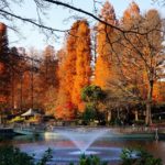 井之頭恩賜公園|日本 Japan 日本必食 日本必吃 日本必到 日本必去 日本必買 日本必掃 日本自由行 日本行程 日本行程包 日本懶人包 日本好去處 日本景點 日本必到景點 日本必去景點 日本美食 日本交通 日本攻略 日本自由行行程 日本自由行行程推薦 日本酒店 日本飯店 日本酒店推薦 日本飯店推薦 日本必住酒店 日本必住飯店 日本必食2019 日本必吃2019 日本必到2019 日本必去2019 日本必買2019 日本必掃2019 日本自由行2019 日本行程2019 日本行程包2019 日本懶人包2019 日本好去處2019 日本景點2019 日本必到景點2019 日本必去景點2019 日本美食2019 日本交通2019 日本攻略2019 日本自由行行程2019 日本自由行行程推薦2019 日本酒店2019 日本飯店2019 日本酒店推薦2019 日本飯店推薦2019 日本必住酒店2019 日本必住飯店2019 東京 Tokyo 東京必食 東京必吃 東京必到 東京必去 東京必買 東京必掃 東京自由行 東京行程 東京行程包 東京懶人包 東京好去處 東京景點 東京必到景點 東京必去景點 東京美食 東京交通 東京攻略 東京自由行行程 東京自由行行程推薦 東京酒店 東京飯店 東京酒店推薦 東京飯店推薦 東京必住酒店 東京必住飯店 東京必食2019 東京必吃2019 東京必到2019 東京必去2019 東京必買2019 東京必掃2019 東京自由行2019 東京行程2019 東京行程包2019 東京懶人包2019 東京好去處2019 東京景點2019 東京必到景點2019 東京必去景點2019 東京美食2019 東京交通2019 東京攻略2019 東京自由行行程2019 東京自由行行程推薦2019 東京酒店2019 東京飯店2019 東京酒店推薦2019 東京飯店推薦2019 東京必住酒店2019 東京必住飯店2019 銀杏2019 日本銀杏 日本銀杏2019 東京銀杏 東京銀杏2019 楓葉2019 紅葉2019 日本楓葉2019 日本楓葉 日本紅葉 日本紅葉2019 東京楓葉2019 東京楓葉 東京紅葉 東京紅葉2019 國營昭和紀念公園 國營昭和紀念公園紅葉 國營昭和紀念公園楓葉 國營昭和紀念公園2019 國營昭和紀念公園紅葉2019 國營昭和紀念公園楓葉2019六義園 六義園紅葉 六義園楓葉 六義園2019 六義園紅葉2019 六義園楓葉2019 新宿御苑 新宿御苑紅葉 新宿御苑楓葉 新宿御苑2019 新宿御苑紅葉2019 新宿御苑楓葉2019 小石川後樂園 小石川後樂園紅葉 小石川後樂園楓葉 小石川後樂園2019 小石川後樂園紅葉2019 小石川後樂園楓葉2019 井之頭恩賜公園 井之頭恩賜公園紅葉 井之頭恩賜公園楓葉 井之頭恩賜公園2019 井之頭恩賜公園紅葉2019 井之頭恩賜公園楓葉2019 飛鳥山公園 飛鳥山公園紅葉 飛鳥山公園楓葉 飛鳥山公園2019 飛鳥山公園紅葉2019 飛鳥山公園楓葉2019 代代木公園 代代木公園紅葉 代代木公園楓葉 代代木公園2019 代代木公園紅葉2019 代代木公園楓葉2019 上野恩賜公園 上野恩賜公園紅葉 上野恩賜公園楓葉 上野恩賜公園2019 上野恩賜公園紅葉2019 上野恩賜公園楓葉2019 井之頭恩賜公園5月 井之頭恩賜公園櫻花2019 井之頭恩賜公園野餐 井之頭恩賜公園7月 井之頭恩賜公園親子 井之頭公園站 井之頭公園命案 井之頭恩賜公園市集2019 井の頭恩賜公園 井之頭恩賜公園情侶
