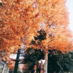 井之頭恩賜公園|日本 Japan 日本必食 日本必吃 日本必到 日本必去 日本必買 日本必掃 日本自由行 日本行程 日本行程包 日本懶人包 日本好去處 日本景點 日本必到景點 日本必去景點 日本美食 日本交通 日本攻略 日本自由行行程 日本自由行行程推薦 日本酒店 日本飯店 日本酒店推薦 日本飯店推薦 日本必住酒店 日本必住飯店 日本必食2019 日本必吃2019 日本必到2019 日本必去2019 日本必買2019 日本必掃2019 日本自由行2019 日本行程2019 日本行程包2019 日本懶人包2019 日本好去處2019 日本景點2019 日本必到景點2019 日本必去景點2019 日本美食2019 日本交通2019 日本攻略2019 日本自由行行程2019 日本自由行行程推薦2019 日本酒店2019 日本飯店2019 日本酒店推薦2019 日本飯店推薦2019 日本必住酒店2019 日本必住飯店2019 東京 Tokyo 東京必食 東京必吃 東京必到 東京必去 東京必買 東京必掃 東京自由行 東京行程 東京行程包 東京懶人包 東京好去處 東京景點 東京必到景點 東京必去景點 東京美食 東京交通 東京攻略 東京自由行行程 東京自由行行程推薦 東京酒店 東京飯店 東京酒店推薦 東京飯店推薦 東京必住酒店 東京必住飯店 東京必食2019 東京必吃2019 東京必到2019 東京必去2019 東京必買2019 東京必掃2019 東京自由行2019 東京行程2019 東京行程包2019 東京懶人包2019 東京好去處2019 東京景點2019 東京必到景點2019 東京必去景點2019 東京美食2019 東京交通2019 東京攻略2019 東京自由行行程2019 東京自由行行程推薦2019 東京酒店2019 東京飯店2019 東京酒店推薦2019 東京飯店推薦2019 東京必住酒店2019 東京必住飯店2019 銀杏2019 日本銀杏 日本銀杏2019 東京銀杏 東京銀杏2019 楓葉2019 紅葉2019 日本楓葉2019 日本楓葉 日本紅葉 日本紅葉2019 東京楓葉2019 東京楓葉 東京紅葉 東京紅葉2019 國營昭和紀念公園 國營昭和紀念公園紅葉 國營昭和紀念公園楓葉 國營昭和紀念公園2019 國營昭和紀念公園紅葉2019 國營昭和紀念公園楓葉2019六義園 六義園紅葉 六義園楓葉 六義園2019 六義園紅葉2019 六義園楓葉2019 新宿御苑 新宿御苑紅葉 新宿御苑楓葉 新宿御苑2019 新宿御苑紅葉2019 新宿御苑楓葉2019 小石川後樂園 小石川後樂園紅葉 小石川後樂園楓葉 小石川後樂園2019 小石川後樂園紅葉2019 小石川後樂園楓葉2019 井之頭恩賜公園 井之頭恩賜公園紅葉 井之頭恩賜公園楓葉 井之頭恩賜公園2019 井之頭恩賜公園紅葉2019 井之頭恩賜公園楓葉2019 飛鳥山公園 飛鳥山公園紅葉 飛鳥山公園楓葉 飛鳥山公園2019 飛鳥山公園紅葉2019 飛鳥山公園楓葉2019 代代木公園 代代木公園紅葉 代代木公園楓葉 代代木公園2019 代代木公園紅葉2019 代代木公園楓葉2019 上野恩賜公園 上野恩賜公園紅葉 上野恩賜公園楓葉 上野恩賜公園2019 上野恩賜公園紅葉2019 上野恩賜公園楓葉2019 井之頭恩賜公園5月 井之頭恩賜公園櫻花2019 井之頭恩賜公園野餐 井之頭恩賜公園7月 井之頭恩賜公園親子 井之頭公園站 井之頭公園命案 井之頭恩賜公園市集2019 井の頭恩賜公園 井之頭恩賜公園情侶