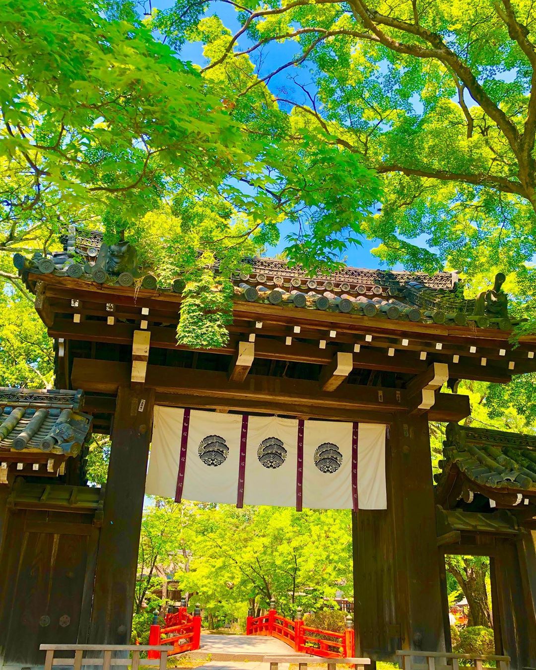 今宮神社 玉の輿 阿呆賢 許願 占卜 許願占卜 占卜石 今宮神社交通 今宮神社あぶり餅 今宮神社阿呆賢 今宮神社市集 今宮神社麻糬 今宮神社時間 今宮神社石頭 今宮神社門票 今宮神社紅葉 今宮神社楓葉 紅葉 楓葉 今宮神社籤 阿呆賢さん いまみやじんじゃ