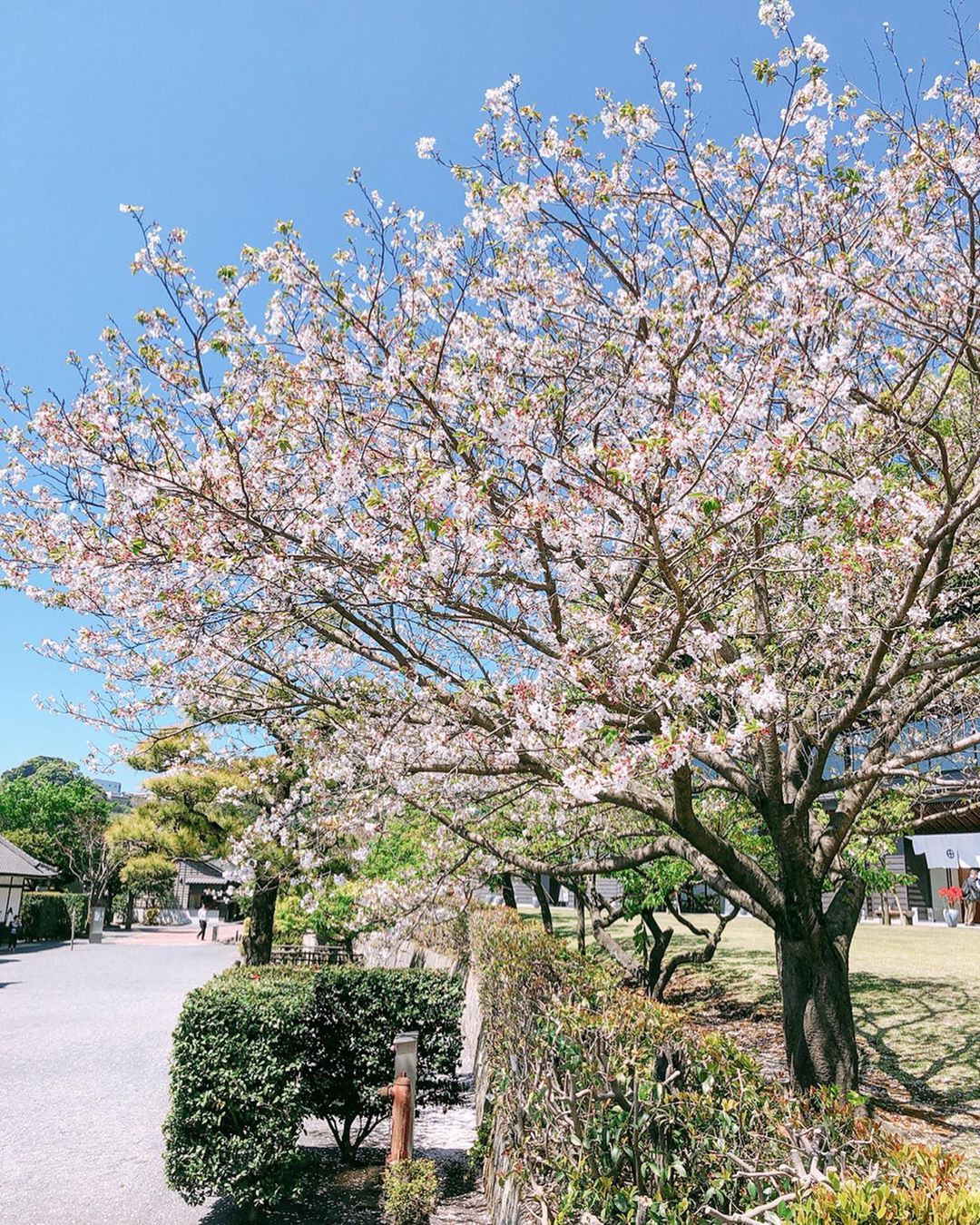 日本 Japan 日本必食 日本必吃 日本必到 日本必去 日本必買 日本必掃 日本自由行 日本行程 日本行程包 日本懶人包 日本好去處 日本景點 日本必到景點 日本美食 日本交通 日本攻略 日本自由行行程 日本自由行行程推薦 日本酒店 日本飯店 日本住宿 日本酒店推薦 日本飯店推薦 日本必住酒店 日本必住飯店 日本必食2019 日本必吃2019 日本必到2019 日本必去2019 日本必買2019 日本必掃2019 日本自由行2019 日本行程2019 日本行程包2019 日本懶人包2019 日本好去處2019 日本景點2019 日本必到景點2019 日本必去景點2019 日本美食2019 日本交通2019 日本攻略2019 日本自由行行程2019 日本自由行行程推薦2019 日本酒店2019 日本飯店2019 日本酒店推薦2019 日本飯店推薦2019 日本必住酒店2019 日本必住飯店2019 日本住宿2019 日本必食2020 日本必吃2020 日本必到2020 日本必去2020 日本必買2020 日本必掃2020 日本自由行2020 日本行程2020 日本行程包2020 日本懶人包2020 日本好去處2020 日本景點2020 日本必到景點2020 日本美食2020 日本交通2020 日本攻略2020 日本自由行行程2020 日本自由行行程推薦2020 日本酒店2020 日本飯店2020 日本住宿2020 日本酒店推薦2020 女飯店推薦2020 日本必住酒店2020 日本必住飯店2020 九州 Kyushu 九州必食 九州必吃 九州必到 九州必去 九州必買 九州必掃 九州自由行 行程 九州行程包 九州懶人包 九州好去處 九州景點 九州必到景點 九州美食 九州交通 九州攻略 九州自由行行程 九州自由行行程推薦 九州酒店 九州飯店 九州住宿 九州酒店推薦 九州飯店推薦 九州必住酒店 九州必住飯店 九州必食2019 九州必吃2019 九州必到2019 九州必去2019 九州必買2019 九州必掃2019 九州自由行2019 九州行程2019 九州行程包2019 九州懶人包2019 九州好去處2019 九州景點2019 九州必到景點2019 九州必去景點2019 九州美食2019 九州交通2019 九州攻略2019 九州自由行行程2019 九州自由行行程推薦2019 九州酒店2019 九州飯店2019 九州酒店推薦2019 九州飯店推薦2019 九州必住酒店2019 九州必住飯店2019 九州住宿2019 九州必食2020 九州必吃2020 九州必到2020 九州必去2020 九州必買2020 九州必掃2020 九州自由行2020 九州行程2020 九州行程包2020 九州懶人包2020 九州好去處2020 九州景點2020 九州必到景點2020 九州美食2020 九州交通2020 九州攻略2020 九州自由行行程2020 九州自由行行程推薦2020 九州酒店2020 九州飯店2020 九州住宿2020 九州酒店推薦2020 九州飯店推薦2020 九州必住酒店2020 九州必住飯店2020 大分 Oita 大分必食 大分必吃 大分必到 大分必去 大分必買 大分必掃 大分自由行 大分行程 大分行程包 大分懶人包 大分好去處 大分景點 大分必到景點 大分美食 大分交通 大分攻略 大分自由行行程 大分自由行行程推薦 大分酒店 大分飯店 大分住宿 大分酒店推薦 大分飯店推薦 大分必住酒店 大分必住飯店 大分必食2019 大分必吃2019 大分必到2019 大分必去2019 大分必買2019 大分必掃2019 大分自由行2019 大分行程2019 大分行程包2019 大分懶人包2019 大分好去處2019 大分景點2019 大分必到景點2019 大分必去景點2019大分 美食2019 大分交通2019 大分攻略2019 大分自由行行程2019 大分自由行行程推薦2019 大分酒店2019大分 飯店2019 大分酒店推薦2019 大分飯店推薦2019 大分必住酒店2019 大分必住飯店2019 大分住宿2019 大分必食2020 大分必吃2020 大分必到2020 大分必去2020 大分必買2020 大分必掃2020 大分自由行2020 大分行程2020 大分行程包2020 大分懶人包2020 大分好去處2020 大分景點2020 大分必到景點2020 大分美食2020 大分交通2020 大分攻略2020 大分自由行行程2020 大分自由行行程推薦2020 大分酒店2020 大分飯店2020 大分住宿2020 大分酒店推薦2020 大分飯店推薦2020 大分必住酒店2020 大分必住飯店2020 鹿兒島 Kagoshima 鹿兒島必食 鹿兒島必吃 鹿兒島必到 鹿兒島必去 鹿兒島必買 鹿兒島必掃 鹿兒島自由行 鹿兒島行程 鹿兒島行程包 鹿兒島懶人包 鹿兒島好去處 鹿兒島景點 鹿兒島必到景點 鹿兒島美食 鹿兒島交通 鹿兒島攻略 鹿兒島自由行行程鹿兒島 自由行行程推薦 鹿兒島酒店 鹿兒島飯店 鹿兒島住宿 鹿兒島酒店推薦 鹿兒島飯店推薦 鹿兒島必住酒店 鹿兒島必住飯店 鹿兒島必食2019 鹿兒島必吃2019 鹿兒島必到2019 鹿兒島必去2019 鹿兒島必買2019 鹿兒島必掃2019 鹿兒島自由行2019 鹿兒島行程2019 鹿兒島行程包2019 鹿兒島懶人包2019 鹿兒島好去處2019 鹿兒島景點2019 鹿兒島必到景點2019 鹿兒島必去景點2019 鹿兒島美食2019 鹿兒島交通2019 鹿兒島攻略2019 鹿兒島自由行行程2019 鹿兒島自由行行程推薦2019 鹿兒島酒店2019 鹿兒島飯店2019 鹿兒島酒店推薦2019 鹿兒島飯店推薦2019 鹿兒島必住酒店2019 鹿兒島必住飯店2019 鹿兒島住宿2019 鹿兒島必食2020 鹿兒島必吃2020 鹿兒島必到2020 鹿兒島必去2020 鹿兒島必買2020 鹿兒島必掃2020 鹿兒島自由行2020 鹿兒島行程2020 鹿兒島行程包2020 鹿兒島懶人包2020 鹿兒島好去處2020 鹿兒島景點2020 鹿兒島必到景點2020 鹿兒島美食2020 鹿兒島交通2020 鹿兒島攻略2020 鹿兒島自由行行程2020 鹿兒島自由行行程推薦2020 鹿兒島酒店2020鹿兒島飯店2020 鹿兒島住宿2020 鹿兒島酒店推薦2020 鹿兒島飯店推薦2020 鹿兒島必住酒店2020 鹿兒島必住飯店2020 長崎 Nagasaki 長崎必食長崎 必吃 長崎必到 長崎必去 長崎必買 長崎必掃 長崎自由行 長崎行程 長崎行程包 長崎懶人包 長崎好去處 長崎景點 長崎必到景點 長崎美食 長崎交通 長崎攻略 長崎自由行行程 長崎自由行行程推薦 長崎酒店 長崎飯店 長崎住宿 長崎酒店推薦 長崎飯店推薦 長崎必住酒店 長崎必住飯店 長崎必食2019 長崎必吃2019 長崎必到2019 長崎必去2019 長崎必買2019 長崎必掃2019 長崎自由行2019 長崎行程2019 長崎行程包2019 長崎懶人包2019 長崎好去處2019 長崎景點2019 長崎必到景點2019 長崎必去景點2019 長崎美食2019 長崎交通2019 長崎攻略2019 長崎自由行行程2019 長崎自由行行程推薦2019 長崎酒店2019 長崎飯店2019 長崎酒店推薦2019 長崎飯店推薦2019 長崎必住酒店2019 長崎必住飯店2019 長崎住宿2019 長崎必食2020 長崎必吃2020 長崎必到2020 長崎必去2020 長崎必買2020 長崎必掃2020 長崎自由行2020 長崎行程2020 長崎行程包2020 長崎懶人包2020 長崎好去處2020 長崎景點2020 長崎必到景點2020 長崎美食2020 長崎交通2020 長崎攻略2020 長崎自由行行程2020 長崎自由行行程推薦2020 長崎酒店2020 長崎飯店2020 長崎住宿2020 長崎酒店推薦2020 長崎飯店推薦2020 長崎必住酒店2020 長崎必住飯店2020 福岡 Hakata 福岡必食 福岡必吃 福岡必到 福岡必去 福岡必買 福岡必掃 福岡自由行 福岡行程 福岡行程包 福岡懶人包 福岡好去處 福岡景點 福岡必到景點 福岡美食 福岡交通 福岡攻略 福岡自由行行程 福岡自由行行程推薦 福岡酒店 福岡飯店 福岡住宿 福岡酒店推薦 福岡飯店推薦 福岡必住酒店 福岡必住飯店 福岡必食2019 福岡必吃2019 福岡必到2019 福岡必去2019 福岡必買2019 福岡必掃2019 福岡自由行2019 福岡行程2019 福岡行程包2019 福岡懶人包2019 福岡好去處2019 福岡景點2019 福岡必到景點2019 福岡必去景點2019 福岡美食2019 福岡交通2019 福岡攻略2019 福岡自由行行程2019 福岡自由行行程推薦2019 福岡酒店2019 福岡飯店2019 福岡酒店推薦2019 福岡飯店推薦2019 福岡必住酒店2019 福岡必住飯店2019 福岡住宿2019 福岡必食2020 福岡必吃2020 福岡必到2020 福岡必去2020 福岡必買2020 福岡必掃2020 福岡自由行2020 福岡行程2020 福岡行程包2020 福岡懶人包2020 福岡好去處2020 福岡景點2020 福岡必到景點2020 福岡美食2020 福岡交通2020 福岡攻略2020 福岡自由行行程2020 福岡自由行行程推薦2020 福岡酒店2020 福岡飯店2020 福岡住宿2020 福岡酒店推薦2020 福岡飯店推薦2020 福岡必住酒店2020 福岡必住飯店2020 熊本 Kumamoto 熊本必食 熊本必吃 熊本必到 熊本必去 熊本必買 熊本必掃 熊本自由行 熊本行程 熊本行程包 熊本懶人包 熊本好去處 熊本景點 熊本必到景點 熊本美食 熊本交通 熊本攻略 熊本自由行行程 熊本自由行行程推薦 熊本酒店 熊本飯店 熊本住宿 熊本酒店推薦 熊本飯店推薦 熊本必住酒店 熊本必住飯店 熊本必食2019 熊本必吃2019 熊本必到2019 熊本必去2019 熊本必買2019 熊本必掃2019 熊本自由行2019 熊本行程2019 熊本行程包2019 熊本懶人包2019 熊本好去處2019 熊本景點2019 熊本必到景點2019 熊本必去景點2019 熊本美食2019 熊本交通2019 熊本攻略2019 熊本自由行行程2019 熊本自由行行程推薦2019 熊本酒店2019 熊本飯店2019 熊本酒店推薦2019 熊本飯店推薦2019 熊本必住酒店2019 熊本必住飯店2019 住宿2019 熊本必食2020 熊本必吃2020 熊本必到2020 熊本必去2020 熊本必買2020 熊本必掃2020 熊本自由行2020 熊本行程2020 熊本行程包2020 熊本懶人包2020 熊本好去處2020 熊本景點2020 熊本必到景點2020 熊本美食2020 熊本交通2020 熊本攻略2020 熊本自由行行程2020 熊本自由行行程推薦2020 熊本酒店2020 熊本飯店2020 熊本住宿2020 熊本酒店推薦2020 熊本飯店推薦2020 熊本必住酒店2020 熊本必住飯店2020 佐賀 Saga 佐賀必食 佐賀必吃 佐賀必到 佐賀必去 佐賀必買 佐賀必掃 佐賀自由行 佐賀行程 佐賀行程包 佐賀懶人包 佐賀好去處 佐賀景點 佐賀必到景點 佐賀美食 佐賀交通 佐賀攻略 佐賀自由行行程 佐賀自由行行程推薦 佐賀酒店 佐賀飯店 佐賀住宿 佐賀酒店推薦 佐賀飯店推薦 佐賀必住酒店 佐賀必住飯店 佐賀必食2019 佐賀必吃2019 佐賀必到2019 佐賀必去2019 佐賀必買2019 佐賀必掃2019 佐賀自由行2019 佐賀行程2019 佐賀行程包2019 佐賀懶人包2019 佐賀好去處2019 佐賀景點2019 佐賀必到景點2019 佐賀必去景點2019 佐賀美食2019 佐賀交通2019 佐賀攻略2019 佐賀自由行行程2019 佐賀自由行行程推薦2019 佐賀酒店2019 佐賀飯店2019 佐賀酒店推薦2019 佐賀飯店推薦2019 佐賀必住酒店2019 佐賀必住飯店2019 佐賀住宿2019 佐賀必食2020 佐賀必吃2020 佐賀必到2020 佐賀必去2020 佐賀必買2020 佐賀必掃2020 佐賀自由行2020 佐賀行程2020 佐賀行程包2020 佐賀懶人包2020 佐賀好去處2020 佐賀景點2020 佐賀必到景點2020 佐賀美食2020 佐賀交通2020 佐賀攻略2020 佐賀自由行行程2020 佐賀自由行行程推薦2020 佐賀酒店2020 佐賀飯店2020 佐賀住宿2020 佐賀酒店推薦2020 佐賀飯店推薦2020 佐賀必住酒店2020 佐賀必住飯店2020 宮崎 Miyazaki 宮崎必食 宮崎必吃 宮崎必到 宮崎必去 宮崎必買 宮崎必掃 宮崎自由行 宮崎行程 宮崎行程包 宮崎懶人包 宮崎好去處 宮崎景點 宮崎必到景點 宮崎美食 宮崎交通 宮崎攻略 宮崎自由行行程 宮崎自由行行程推薦 宮崎酒店 宮崎飯店 宮崎住宿 宮崎酒店推薦 宮崎飯店推薦 宮崎必住酒店 宮崎必住飯店 宮崎必食2019 宮崎必吃2019 宮崎必到2019 宮崎必去2019 宮崎必買2019 宮崎必掃2019 宮崎自由行2019 宮崎行程2019 宮崎行程包2019 宮崎懶人包2019 宮崎好去處2019 宮崎景點2019 宮崎必到景點2019 宮崎必去景點2019 宮崎美食2019 宮崎交通2019 宮崎攻略2019 宮崎自由行行程2019 宮崎自由行行程推薦2019 宮崎酒店2019 宮崎飯店2019 宮崎酒店推薦2019 宮崎飯店推薦2019 宮崎必住酒店2019 宮崎必住飯店2019 宮崎住宿2019 宮崎必食2020 宮崎必吃2020 宮崎必到2020 宮崎必去2020 宮崎必買2020 宮崎必掃2020 宮崎自由行2020 宮崎行程2020 宮崎行程包2020 宮崎懶人包2020 宮崎好去處2020 宮崎景點2020 宮崎必到景點2020 宮崎美食2020 宮崎交通2020 宮崎攻略2020 宮崎自由行行程2020 宮崎自由行行程推薦2020 宮崎酒店2020 宮崎飯店2020 宮崎住宿2020 宮崎酒店推薦2020 宮崎飯店推薦2020 宮崎必住酒店2020 宮崎必住飯店2020 舞鶴公園 西公園 甘木公園 丸山公園 淺井的一本櫻 浅井の一本桜 秋月杉之馬場 秋月杉の馬場 小倉城勝山公園 勝山公園 一心行大櫻 一心行の大桜 水前寺成趣園 仙巖園 仙巌園 御船山樂園 御船山楽園 小城公園 母智丘公園 岡城跡 大村公園 日本櫻花 日本櫻花景點 日本賞櫻 日本櫻花攻略 日本賞櫻攻略 日本櫻花2020 日本櫻花景點2020 日本賞櫻2020 日本櫻花攻略2020 日本賞櫻攻略2020 福岡櫻花 福岡櫻花景點 福岡賞櫻 福岡櫻花攻略 福岡賞櫻攻略 福岡櫻花2020 福岡櫻花景點2020 福岡賞櫻2020 福岡櫻花攻略2020 福岡賞櫻攻略2020 熊本櫻花 熊本櫻花景點 熊本賞櫻 熊本櫻花攻略 熊本賞櫻攻略 熊本櫻花2020 熊本櫻花景點2020 熊本賞櫻2020 熊本櫻花攻略2020 熊本賞櫻攻略2020 鹿兒島櫻花 鹿兒島櫻花景點 鹿兒島賞櫻 鹿兒島櫻花攻略 鹿兒島賞櫻攻略 鹿兒島櫻花2020 鹿兒島櫻花景點2020 鹿兒島賞櫻2020 鹿兒島櫻花攻略2020 鹿兒島賞櫻攻略2020 佐賀櫻花 佐賀櫻花景點 佐賀賞櫻 佐賀櫻花攻略 佐賀賞櫻攻略 佐賀櫻花2020 佐賀櫻花景點2020 佐賀賞櫻2020 佐賀櫻花攻略2020 佐賀賞櫻攻略2020 宮崎櫻花 宮崎櫻花景點 宮崎賞櫻 宮崎櫻花攻略 宮崎賞櫻攻略 宮崎櫻花2020 宮崎櫻花景點2020 宮崎賞櫻2020 宮崎櫻花攻略2020 宮崎賞櫻攻略2020 大分櫻花 大分櫻花景點 大分賞櫻 大分櫻花攻略 大分賞櫻攻略 大分櫻花2020 大分櫻花景點2020 大分賞櫻2020 大分櫻花攻略2020 大分賞櫻攻略2020 長崎櫻花 長崎櫻花景點 長崎賞櫻 長崎櫻花攻略 長崎賞櫻攻略 長崎櫻花2020 長崎櫻花景點2020 長崎賞櫻2020 長崎櫻花攻略2020 長崎賞櫻攻略2020 舞鶴公園2019 舞鶴公園楓葉 舞鶴公園櫻花 舞鶴公園紅葉 舞鶴公園9月 舞鶴公園1月 舞鶴公園夜櫻 舞鶴公園交通 舞鶴公園12月 舞鶴公園英文 西公園櫻花2019 西公園仙台 西公園紅葉 福岡西公園櫻花 舞鶴公園 大濠公園 西公園交通 大濠公園美食 福岡城大濠公園 博多到大濠公園 甘木公園櫻花 甘木公園交通 舞鶴公園 福岡櫻花時間 舞鶴公園櫻花2019 福岡賞櫻時間 甘木觀光巴士 福岡櫻花2020 舞鶴公園夜櫻 福岡賞櫻2019 福岡櫻花時間 福岡櫻花2019 福岡櫻花祭 長崎櫻花2019 岡山櫻花2019 福岡絕景 櫻花季節 輕井澤櫻花 青森櫻花2019 日光櫻花2019 秋月日本 秋月城跡午餐 秋月城舊址 秋月城跡黑門 秋月城舊址交通 朝倉市美食 福岡秋月城跡賞楓 秋月城跡開放時間 秋月城跡楓葉 秋月城跡自駕 勝山公園紅葉 勝山公園楓葉 勝山公園櫻花 勝山公園停車場 小倉城 竉門神社 小倉城晚上 小倉城開放時間 福岡夜楓 一心行大櫻2019 白川水源 南阿蘇景點 白川水源2018 阿蘇景點2018 阿蘇地圖 熊本絕景 阿蘇山9月 阿蘇火山10月 草千里10月 水前寺成趣園紅葉 水前寺成趣園2019 水前寺成趣園必買 水前寺成趣園停留時間 水前寺成趣園冬天 水前寺成趣園停車 水前寺成趣園美食 水前寺成趣園抹茶 水前寺成趣園mapcode 水前寺成趣園楓葉 仙巖園停留時間 仙巖園和服 仙巖園紅葉 仙巖園星巴克 仙巖園貓神社 仙巖園世界遺產 仙巖園茶寮 仙巖園mapcode 仙巖園2018 仙巖園公車 御船山樂園2019 御船山樂園teamlab 御船山樂園值得去嗎 御船山樂園門票 御船山樂園櫻花 御船山樂園teamlab 2019 御船山樂園hotel 御船山樂園紅葉祭2019 佐賀御船山樂園teamlab 御船山樂園酒店blog 佐賀小城 小城景點 舞鶴公園 御船山樂園 佐賀小城景點 母智丘公園交通 岡城跡交通 岡城跡櫻花 岡城跡紅葉 大分縣岡城跡 岡城跡賞楓 岡城跡楓葉 岡城交通 岡城櫻花祭 豐後竹田車站 豐後景點 大村公園櫻花2019 大村公園2019 大村公園巴士 大村公園mapcode omura park大村公園 長崎大村公園櫻花2019 彰化大村公園 九州大村 大村公園玖島城跡 大村市景點
