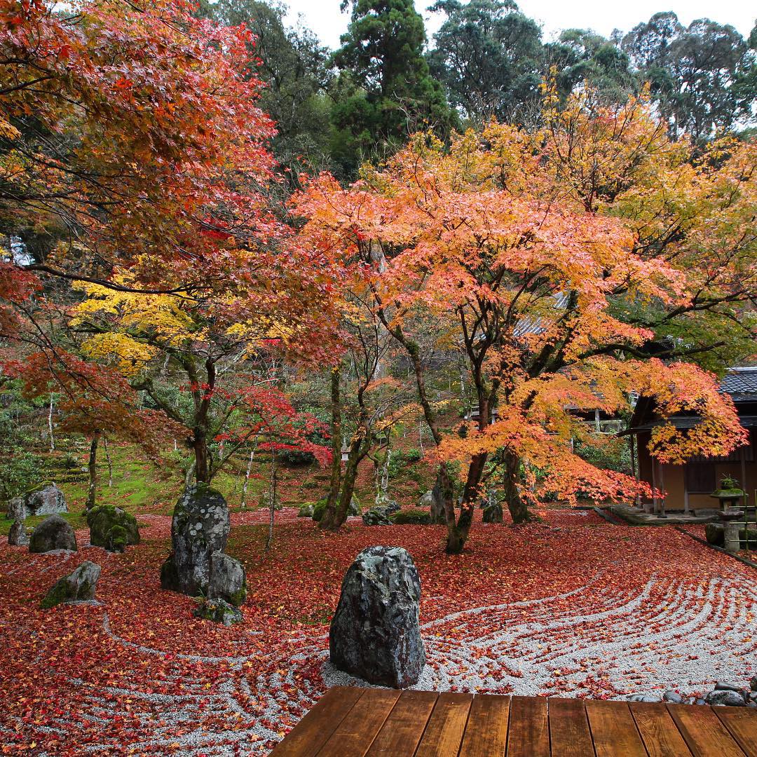 光明禪寺 光明禪寺 紅葉 2019 光明禪寺紅葉 2019 福岡 紅葉 景點 2019 福岡紅葉景點 2019 福岡 紅葉景點 2019 福岡紅葉 2019 福岡紅葉2019 福岡 紅葉 福岡紅葉 2019 福岡紅葉2019 福岡賞楓 2019 福岡賞楓2019 福岡賞楓景點 2019 福岡賞楓景點2019 福岡夜楓 2019 福岡夜楓2019 福岡夜楓景點2019 福岡夜楓景點 2019 九州紅葉 2019 九州紅葉2019 九州紅葉 景點 2019 九州紅葉景點 2019 九州紅葉景點2019 九州賞楓 2019 九州賞楓2019 九州賞楓景點 2019 九州賞楓景點2019 九州賞楓 景點 2019 九州夜楓2019 九州夜楓 2019 九州夜楓景點2019 九州夜楓景點 2019 九州夜楓 景點 2019 九州楓葉2019 九州楓葉 2019 九州楓葉景點2019 九州楓葉景點 2019 九州 紅葉祭 2019 九州景點 九州必去 九州必看 九州自由行 九州行程 九州自由行行程推薦 九州自由行行程推介 九州自由行行程