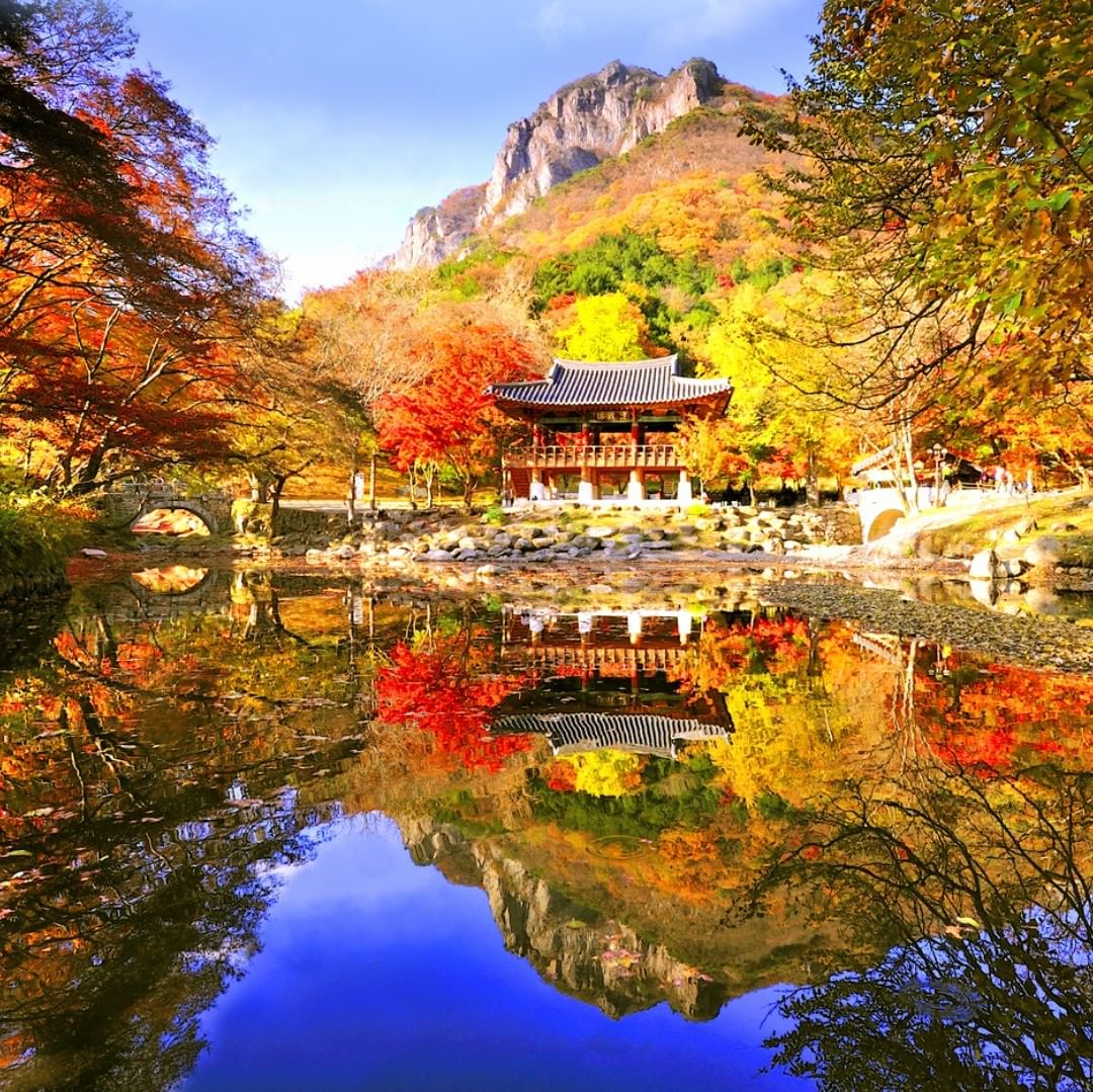 全羅道紅葉 全羅道紅葉景點 全羅道景點 全羅道賞楓 全羅道賞楓景點 全羅道紅葉楓葉 內藏山賞楓一日遊 韓國賞楓第一山 白羊寺林木步道 紅葉隧道 白羊寺 백양사 內藏山 내장산 內藏山國立公園 내장산국립공웡 濟州島自由行 濟州島景點 濟州島好去處 濟州島行程 濟州島自由行行程推介 濟州島自由行行程握薦 濟州島行程推介 濟州島行程握薦 濟州自由行 濟州景點 濟州好去處 濟州行程 濟州自由行行程推介 濟州自由行行程握薦 濟州行程推介 濟州行程握薦 釜山自由行 釜山景點 釜山好去處 釜山行程 釜山自由行行程推介 釜山自由行行程握薦 釜山行程推介 釜山行程握薦 首爾自由行 首爾景點 首爾好去處 首爾行程 首爾自由行行程推介 首爾自由行行程握薦 首爾行程推介 首爾行程握薦 2019 濟州島紅葉 2019 濟州島紅葉景點 2019 濟州島楓葉 2019 濟州島賞楓 濟州島賞楓景點 2019 濟州紅葉 2019 濟州紅葉景點 2019 濟州楓葉 2019 濟州賞楓 濟州賞楓景點 2019 釜山紅葉 2019 釜山紅葉景點 2019 釜山楓葉 2019 釜山賞楓 釜山賞楓景點 2019 首爾紅葉 2019 首爾紅葉景點 2019 首爾楓葉 2019 首爾賞楓 首爾賞楓景點 韓國紅葉 2019 韓國紅葉景點 韓國賞楓 韓國賞楓景點 韓國楓葉 2019韓國紅葉預測 韓國紅葉預測2019