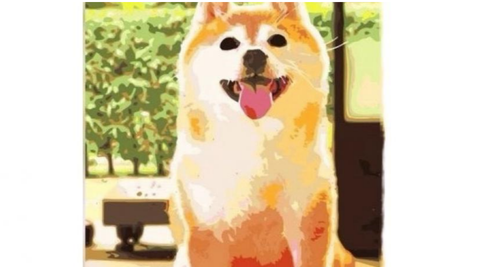 動物數字油畫