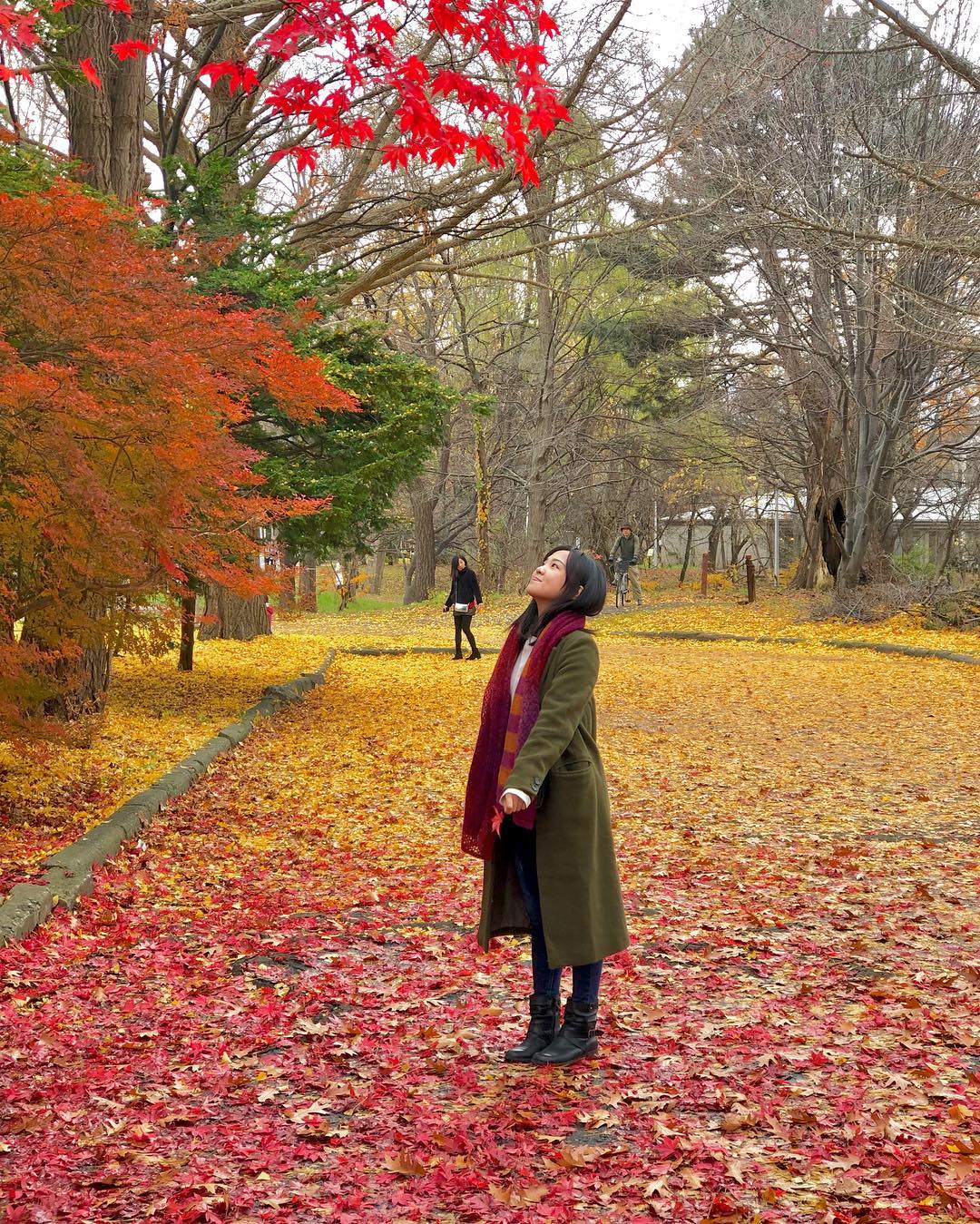 北海道大學|日本 Japan 日本必食 日本必吃 日本必到 日本必去 日本必買 日本必掃 日本自由行 日本行程 日本行程包 日本懶人包 日本好去處 日本景點 日本必到景點 日本必去景點 日本美食 日本交通 日本攻略 日本自由行行程 日本自由行行程推薦 日本酒店 日本飯店 日本酒店推薦 日本飯店推薦 日本必住酒店 日本必住飯店 日本必食2019 日本必吃2019 日本必到2019 日本必去2019 日本必買2019 日本必掃2019 日本自由行2019 日本行程2019 日本行程包2019 日本懶人包2019 日本好去處2019 日本景點2019 日本必到景點2019 日本必去景點2019 日本美食2019 日本交通2019 日本攻略2019 日本自由行行程2019 日本自由行行程推薦2019 日本酒店2019 日本飯店2019 日本酒店推薦2019 日本飯店推薦2019 日本必住酒店2019 日本必住飯店2019 北海道 Hokkaido 北海道必食 北海道必吃 北海道必到 北海道必去 北海道必買 北海道北海道必掃 北海道自由行 北海道行程 北海道行程包 北海道懶人包 北海道好去處 北海道景點 北海道必到景點 北海道必去景點 北海道美食 北海道交通 北海道攻略 北海道自由行行程 北海道自由行行程推薦 北海道酒店 北海道飯店 北海道酒店推薦 北海道飯店推薦 北海道必住酒店 北海道必住飯店 北海道必吃2019 北海道必到2019 北海道必去2019 北海道必買2019 北海道必掃2019 北海道自由行2019 北海道行程2019 北海道行程包2019 北海道懶人包2019 北海道好去處2019 北海道景點2019 北海道必到景點2019 北海道必去景點2019 北海道美食2019 北海道交通2019 北海道攻略2019 北海道自由行行程2019 北海道自由行行程推薦2019 北海道酒店2019 北海道飯店2019 北海道酒店推薦2019 北海道飯店推薦2019 北海道必住酒店2019 北海道必住飯店2019 北海道紅葉預測 北海道楓葉預測 見晴公園 香雪園 函館 五稜郭 大沼國定公園 大沼 大湯沼 登別 豐平峽 札幌 藻岩山 札幌 北海道大學 青池 美瑛 大雪山國立公園 上川 知床五湖 知床半島 北海道大學冬天 北海道大學開放時間 北海道大學地圖 北海道大學櫻花 北海道大學博物館 北海道大學植物園 北海道大學銀杏2018 北海道大學map code 北海道大學法學部 北海道大學楓葉時間